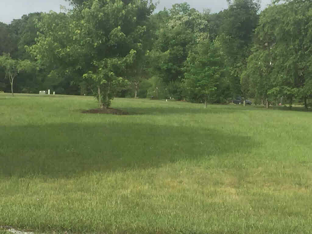 NICE BUILDING LOT IN THE LORETTO SUBDIVISION IN WYTHEVILLE. BUILD YOUR DREAM HOME TODAY