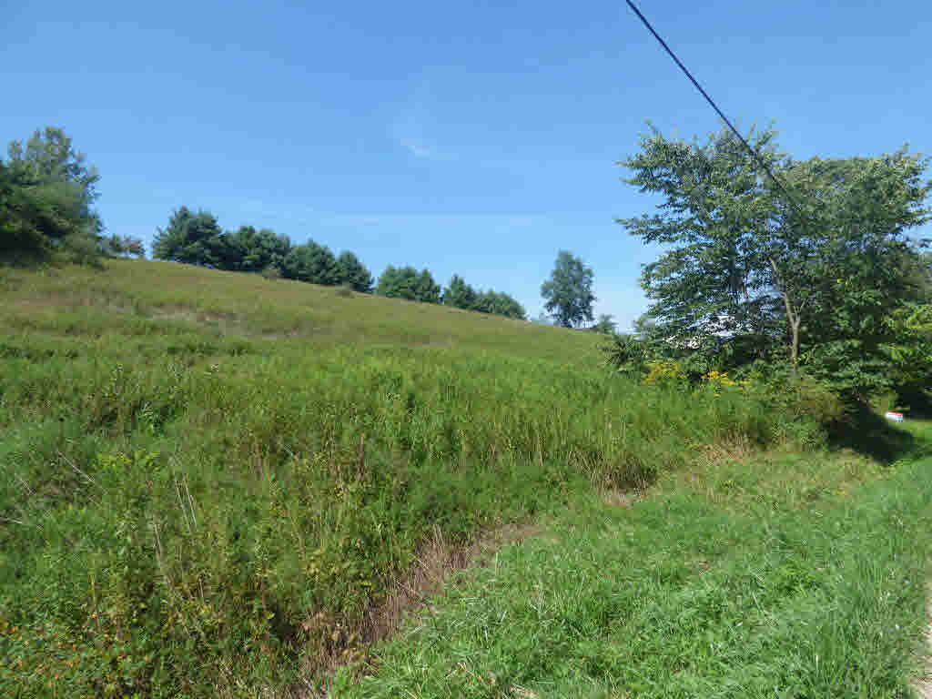 What a great find. A 2.48 acre lot on Kinberland road in Rural Retreat. Build your dream home on the property then sit back and relax and enjoy the country views and quiet evenings. This property is close to Rural Retreat Lake, interstate 81 and just minutes from shopping, medical and schools.
