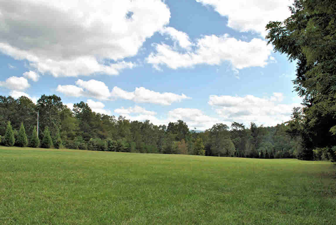 Build your dream home on this gorgeous 7.650 Acre lot in Hickory Knob Subdivision. Partially cleared and partially wooded, this lot has views of the mountains and has been perked. Conveniently located just minutes to I-81 and 20 minutes to Roanoke or Blacksburg & Virginia Tech. Come find your little piece of heaven!