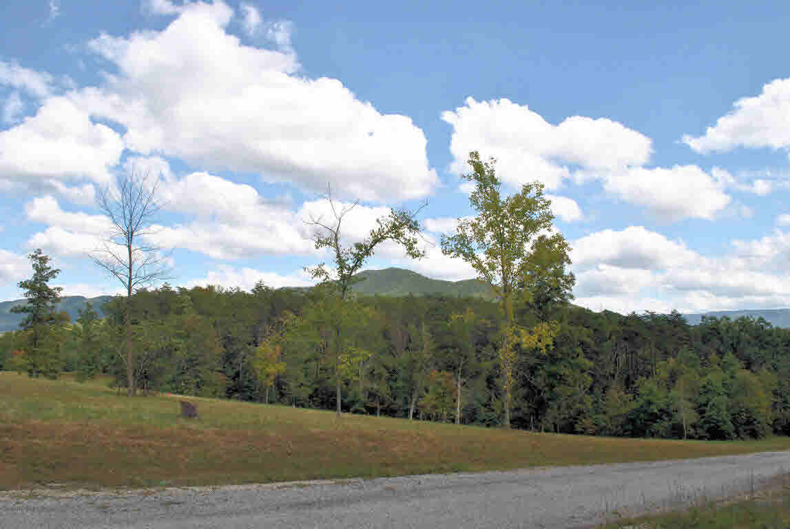 Build your dream home on this gorgeous 5.379 Acre lot in Hickory Knob Subdivision. This lot has views of the mountains and has been perked. Conveniently located just minutes to I-81 and 20 minutes to Roanoke or Blacksburg & Virginia Tech. Come find your little piece of heaven!