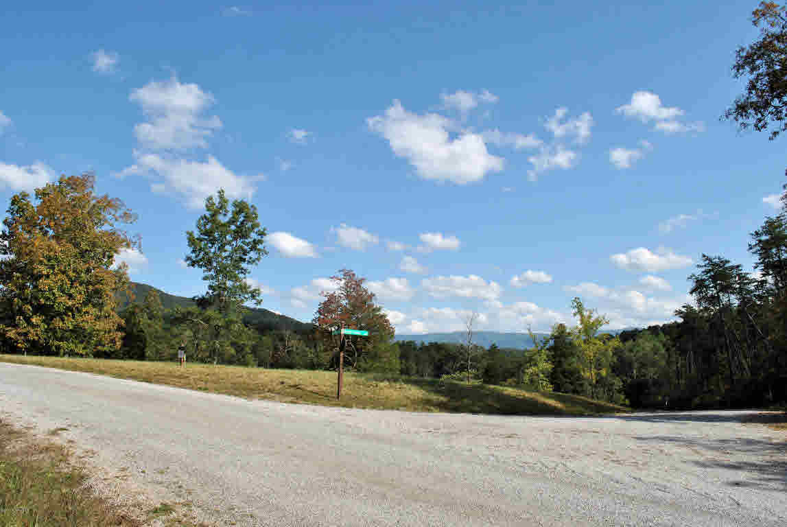 Build your dream home on this gorgeous 4.437 Acre lot in Hickory Knob Subdivision. This lot has a view of a pond and has been perked. Conveniently located just minutes to I-81 and 20 minutes to Roanoke or Blacksburg & Virginia Tech. Come find your little piece of heaven!