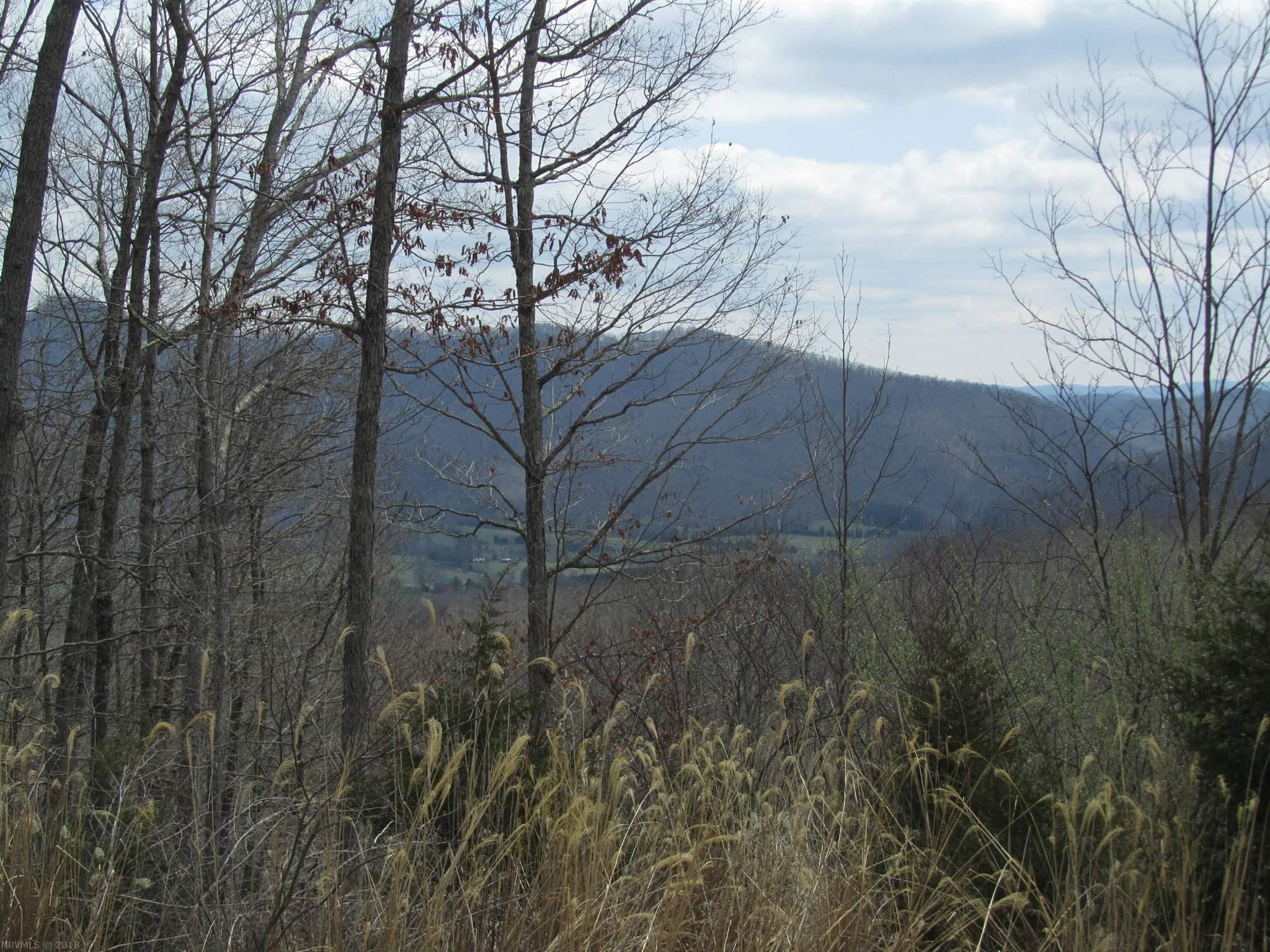 Blacksburg, Virginia 305 Deercroft Drive, Blacksburg, VA Land For Sale