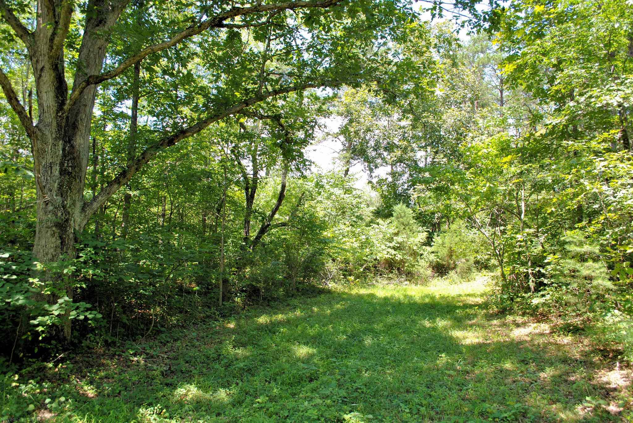 Build your dream home on this gorgeous, wooded 2.565 acre lot in Hickory Knob Subdivision.  The lot has been perked already for a septic system and is ready to be built on.  Underground utilities.  Conveniently located just minutes to I-81 and 20 minutes to Roanoke or Blacksburg & Virginia Tech. Come find your little piece of heaven!
