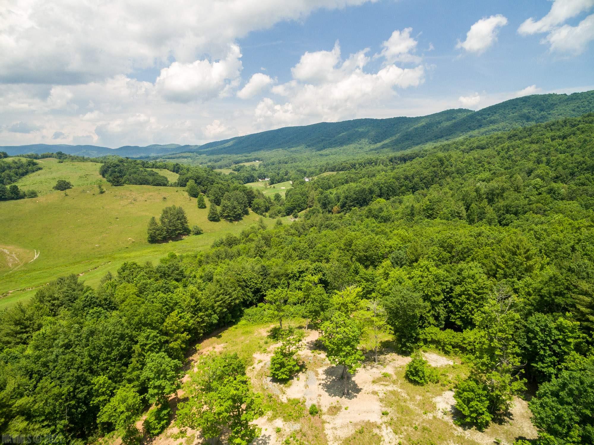 Beautiful mountain views of Elk Creek Valley located in Grayson County. This is one of two adjoining tracts. This lot has its own entrance and road leading up to a buildable home site with an outstanding view. This property offers plenty of seclusion and acreage, even adjoining Jefferson National Forest. Very close to hiking trails and horse camps. Lot 5 has been perked for a 3 bedroom septic system. Lot 4 & 5 can be sold individually or together. Call for an appointment today!