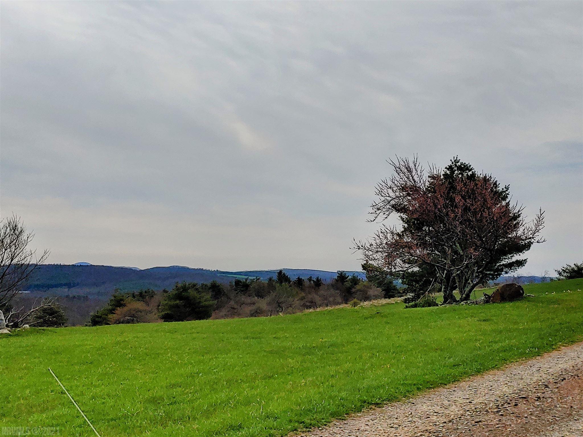 Enjoy the views from this ridge top property! Level 2.7 acre lot adjacent to the Blue Ridge Parkway. Just a few minutes to Hwy 58 and Chateau Morrisette Winery!