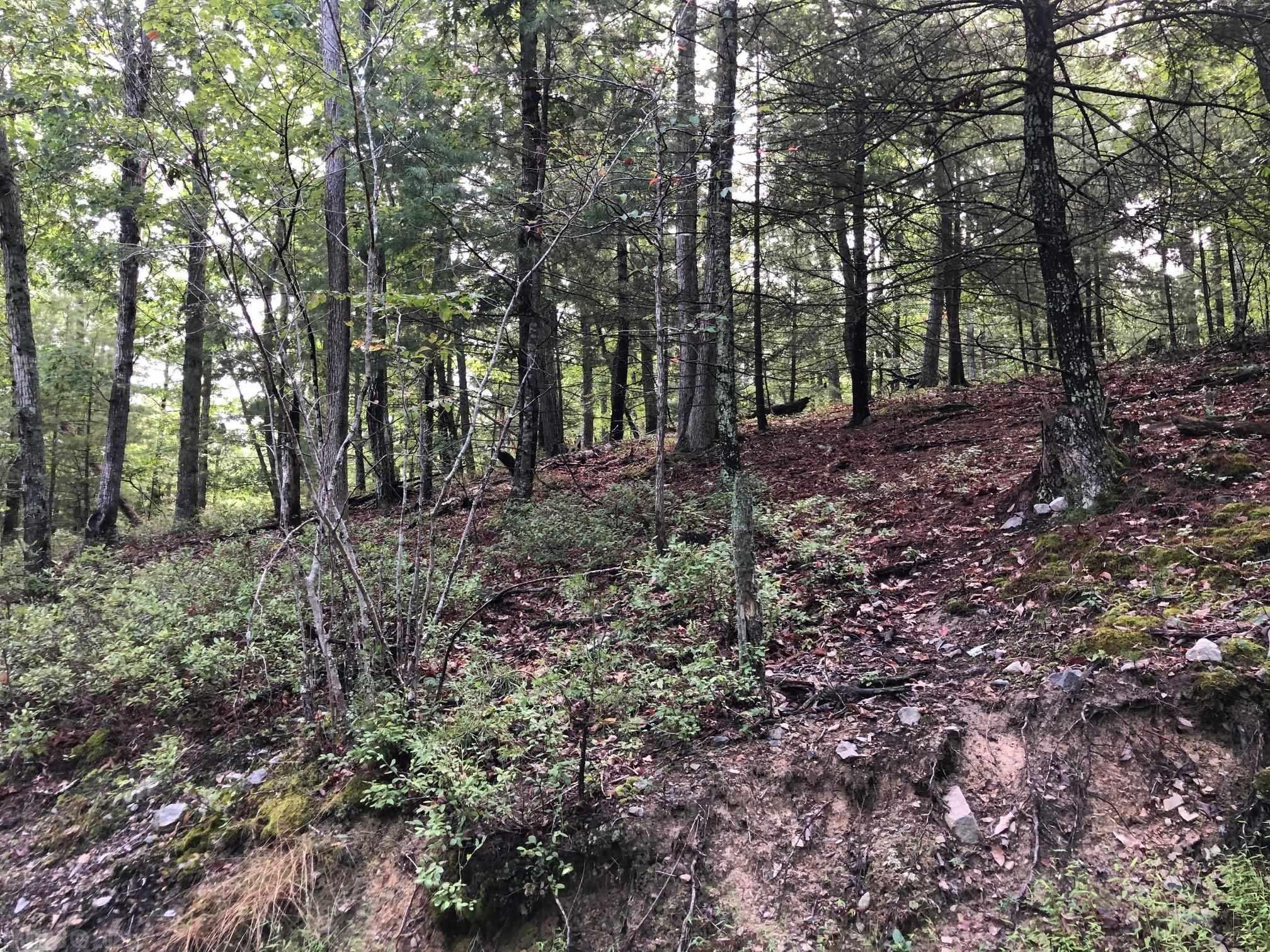 Great 1.577 Acre building lot in Auburn School District.  Priced below current tax assessment.  Convenient location close to Radford University, CNRVMC, I81, Rt 11, Rt 114, VT and all points in the NRV. Soil work for Septic, Covenants and Restrictions, and Survey in the Documents.