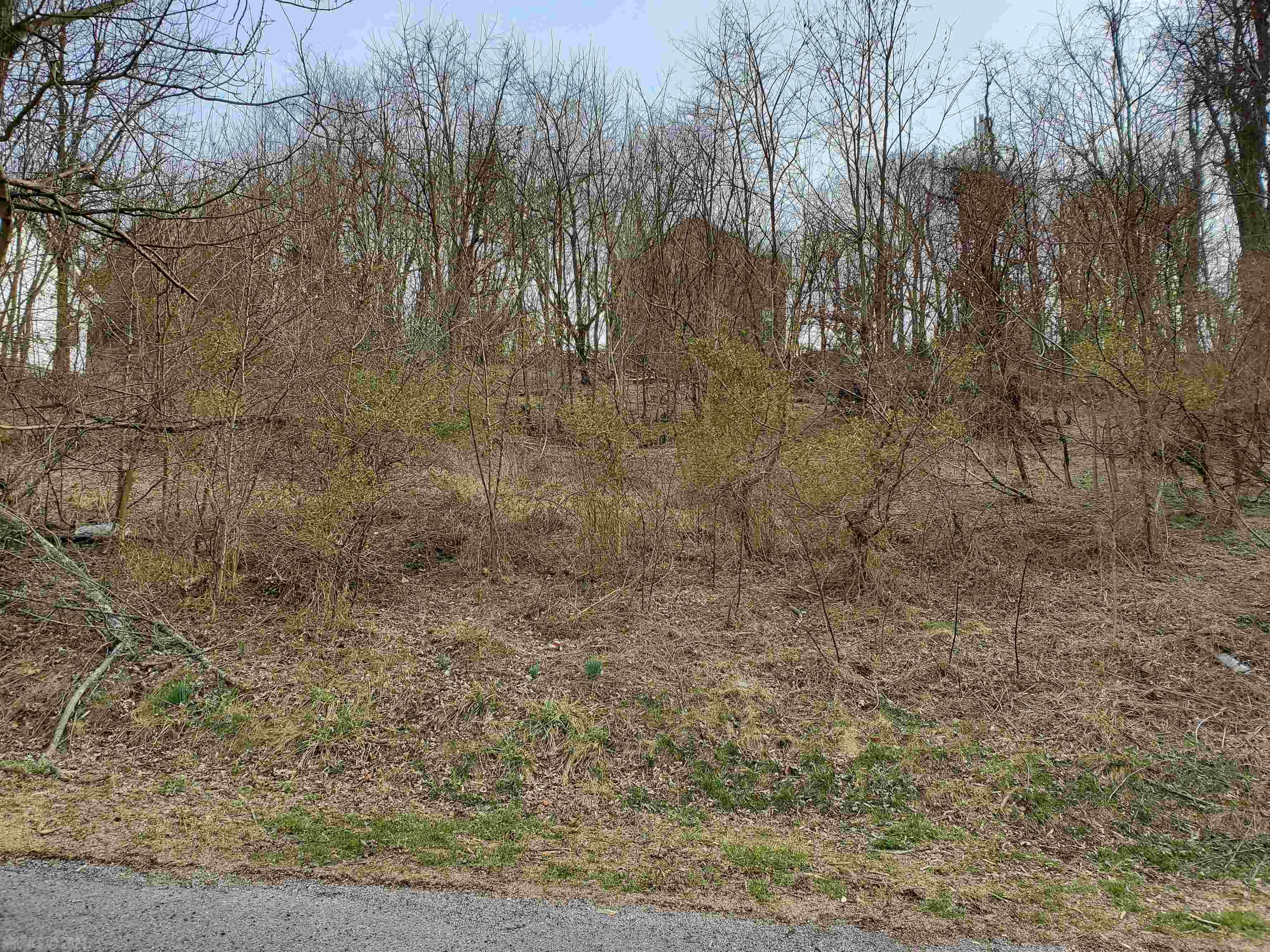 Large in town lot close to the Aquatic Center and Rec Center.  Plans have been through first mark up with town for 7 townhouses.  Some water run off has been completed.  On water and sewer hook up are grandfathered in.  Realtor owned.
