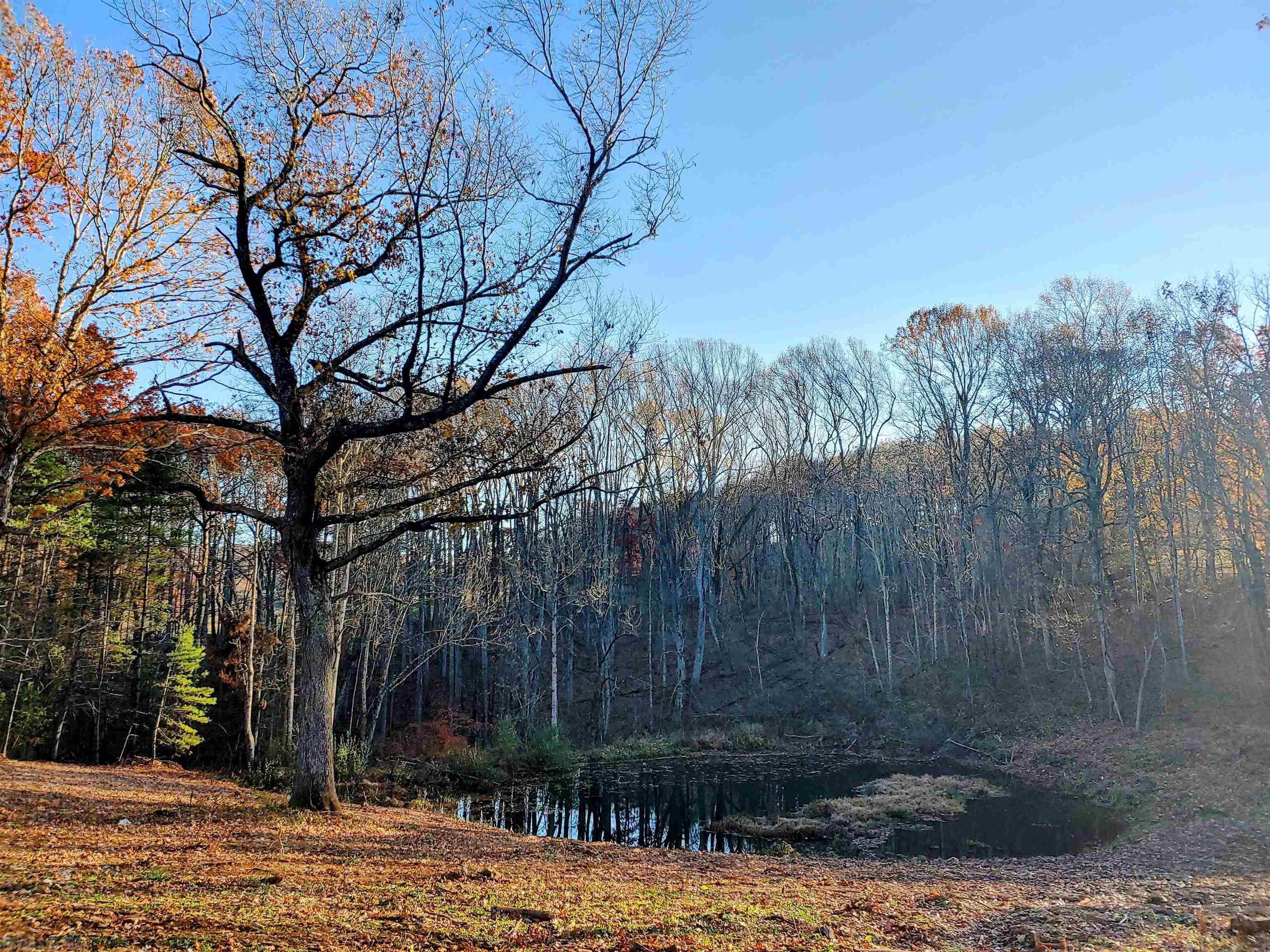 Nearly 5 acres just a few minutes from the Town of Floyd.  The property has already been perked for a 3 BDR septic system.  A building site has been cleared with views overlooking the pond.   Some mature oaks give a perfect balance of both open and wooded area.