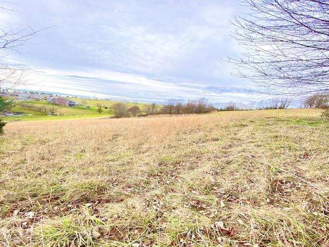 LARGE, VACANT, CLEARED LOT, CONTAINING .89 ACRE. LOCATED WITHIN THE ESTABLISHED WYTHEVIEW NEIGHBORHOOD IN WYTHEVILLE VIRGINIA. ENJOY THE  CONVENIENCES OF TOWN WHILE ENJOYING THE VIEWS OF THE COUNTRYSIDE. LOCATED WITHIN A COUPLE OF MINUTES TO THE INTERSTATE. LUXURIES, CONVENIENCES & LOCATION! THIS ONE HAS IT!