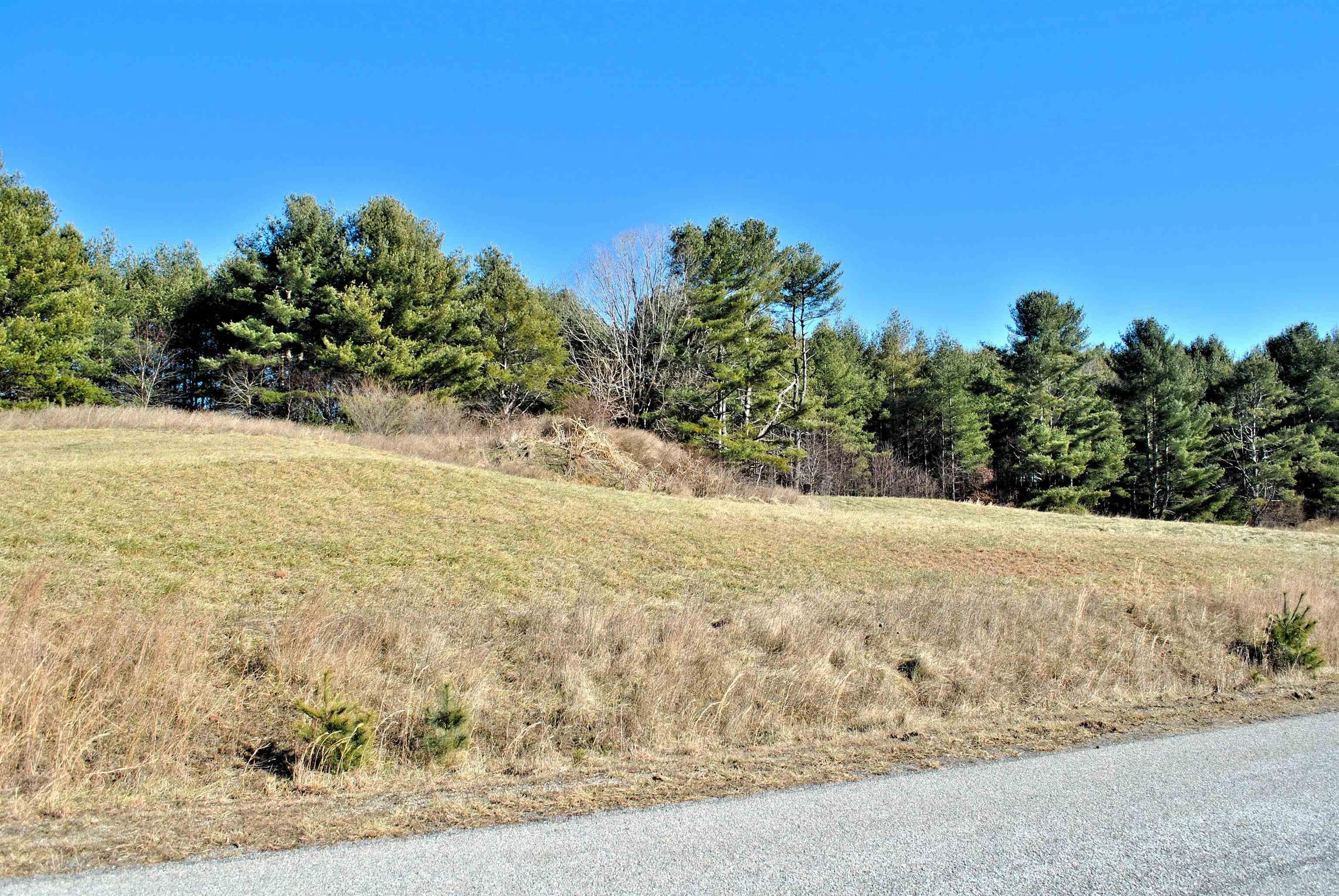 Build your dream on this open lot with great mountain views near the end of a cul-de-sac!  Property has High Speed Internet available with Fiber Optic Cable at the property so you can work from home!  The property has perk test completed for a 3 bedroom home.  Conveniently located within 15 to 20 minutes to I-81, Christiansburg, Blacksburg, VT, Radford, RU, Carilion Hospital, Montgomery Regional Hospital, etc... Country living at is finest!  Call for a private showing!