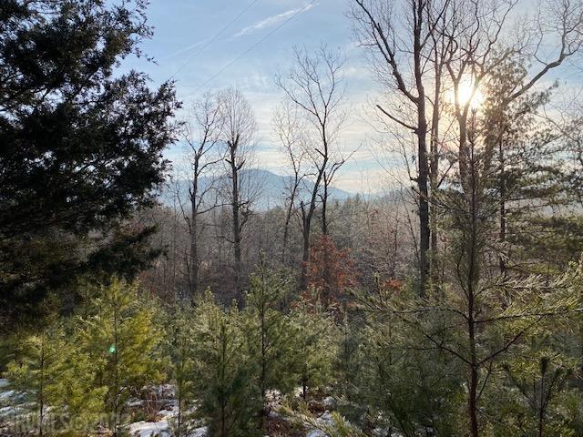 This 7 Acre Mountainous Land tract has Lots of Opportunities.  Home Site is located towards Rear of Property and with some clearing would boast Spectacular Views towards the South East of Surrounding Mountains.  Property was also perked several years ago by Setec. Septic permit would need to be re-instated and with acceptable offer, seller would be happy to pay for that fee.  Zoned Ag1 you can enjoy some cattle, and other Livestock too. Some good Timber is on this Land.  Driveway would need to be cut in from Flatwoods to Building Site.  This is Centrally Located to Salem, Roanoke, and the New River Valley. Buyer to verify zoning to permit single/double wides.  Power lines and gas pipeline go through part of this land tract.
