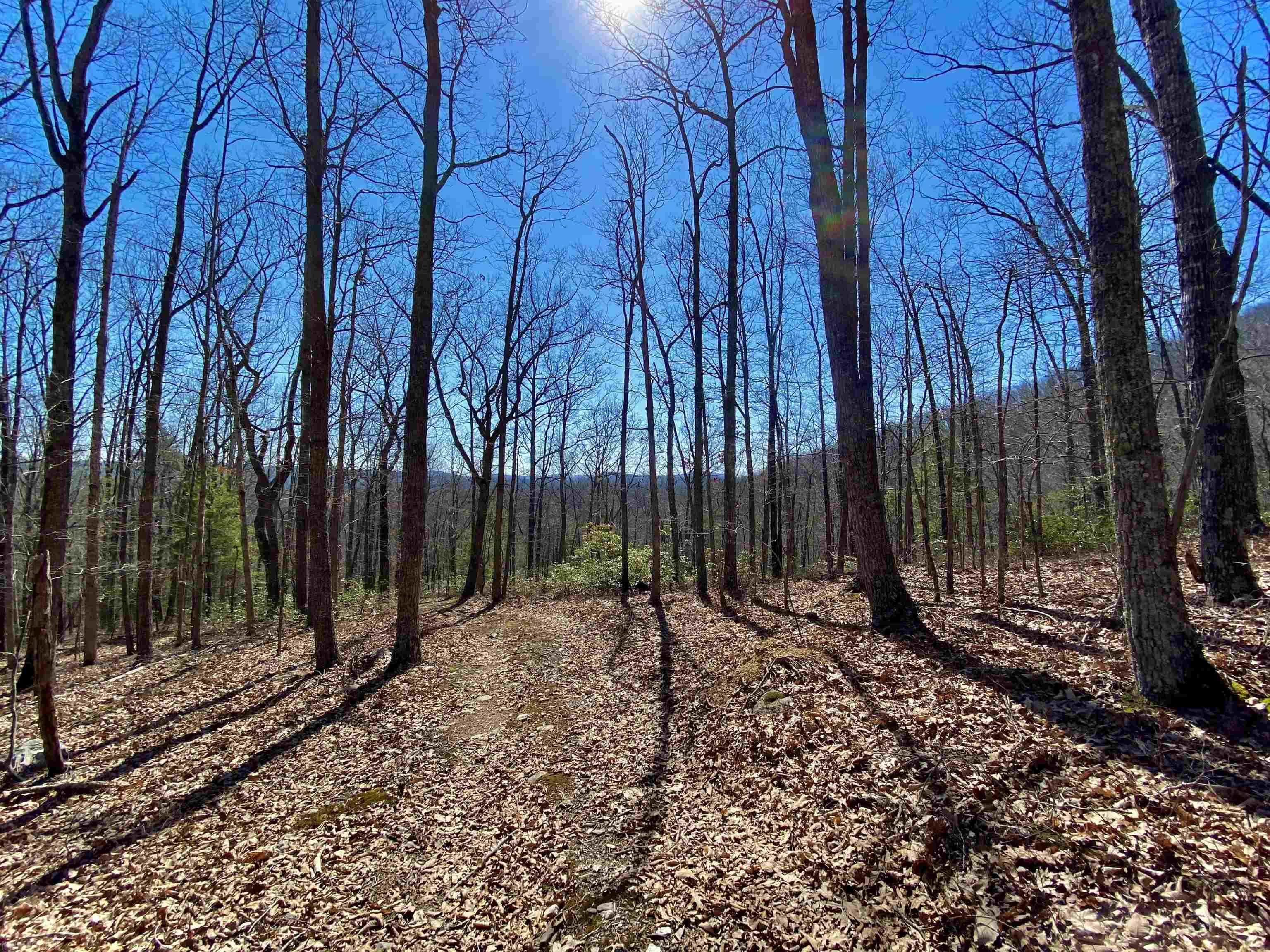 *PRICE IMPROVEMENT* Escape the madness and find yourself on top of a mountain with incredible panoramic long-range views on this +79-acre property. Build your dream home or keep this as the outdoors person's paradise. An abundance of wildlife has been viewed on this property including dear, turkey, grouse, etc. The lay of the land offers multiple ridges for multi-person hunting. Several tree stands convey. There is a small creek, springs, and good road frontage off of Higgs and Indian Valley Rd. Multiple building sites for those looking to make a permanent residents in complete seclusion with fiberoptic internet available. 4WD/AWD or a good pair of hiking boots is highly recommended. Set up your showing today!