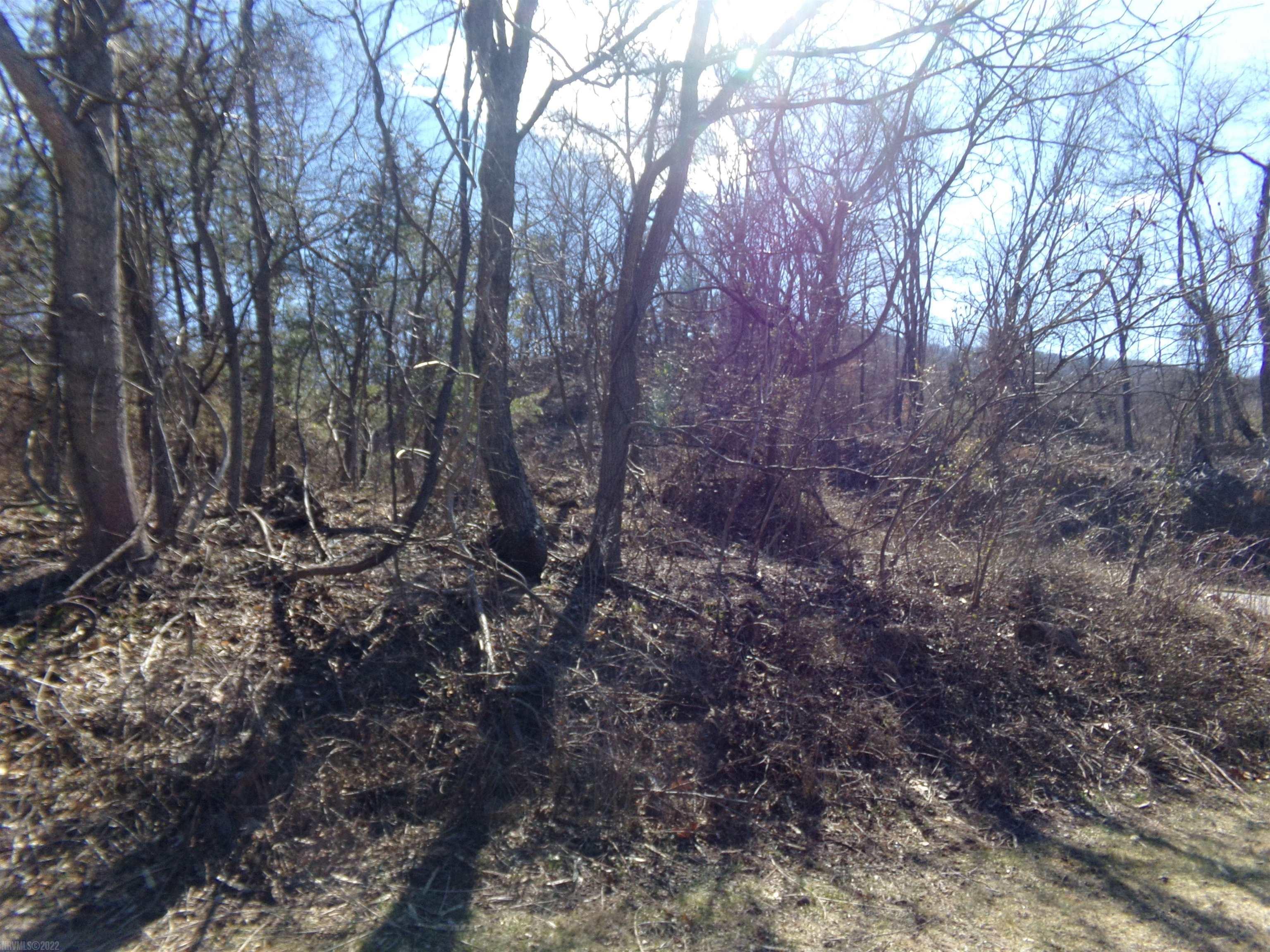 Nice property to build your dream home on. It is also zoned for a Duplex,  or Double or Single Wide. Close to I81. Close to the New River Trail.   Come Check this property out.