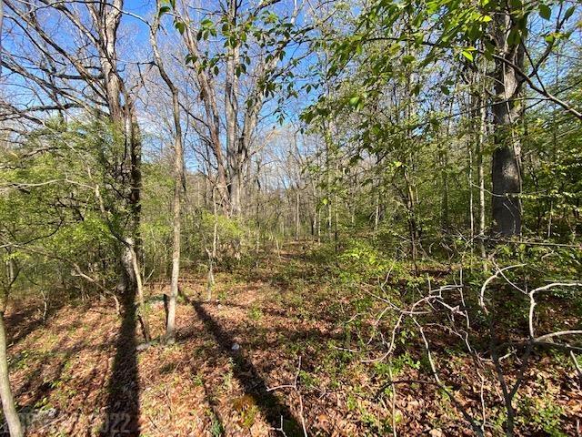 Here are Two Lots for YOU in the Heart of Christiansburg with 300 ft. of Crab Creek Frontage. Both Land Tracts are 1.97 and .60Acres totaling 2.57 Acres. Each Land Tract has Different Zoning which really expands YOUR Options. This is slightly sloped. The smaller lot (.60) is zoned Industrial 1, and the 1.97 Acre is zoned Ag. The Larger Lot can be customized for a single family residence and is just slightly sloped. Right of Way with Town needs to be confirmed. Manhole for possible sewer connection is at Robinhood Lane. Sewer line runs on lower portion of property. Buyer to determine cost for potential water hook up and septic hook up. You really cannot find this anywhere in the town. Don't miss this opportunity. Call to Schedule a private tour today!