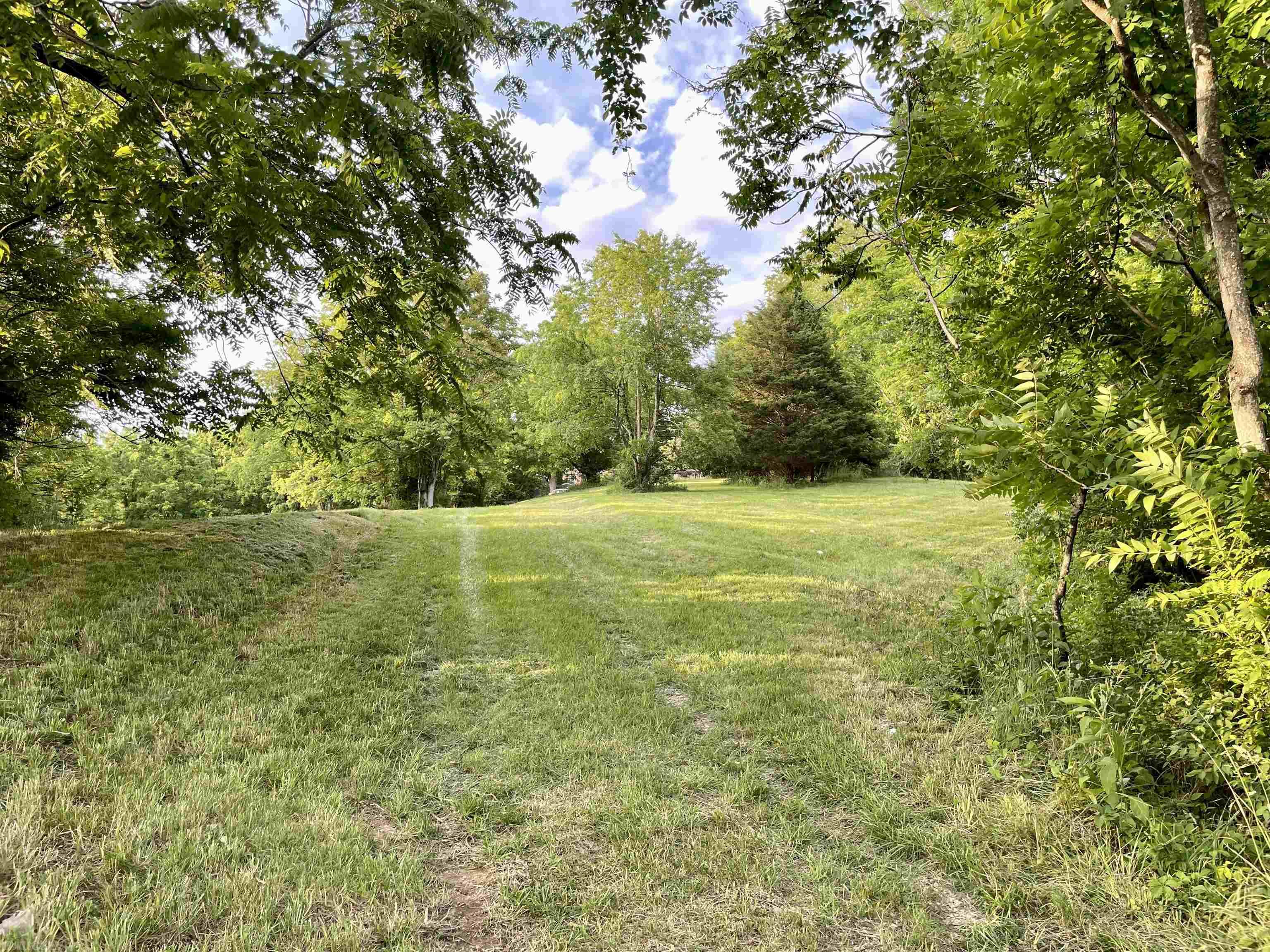 Open gently sloping land. Zoned Residential. There is a 30ft right of way going to the neighbor's home in this property. See plat under documents.