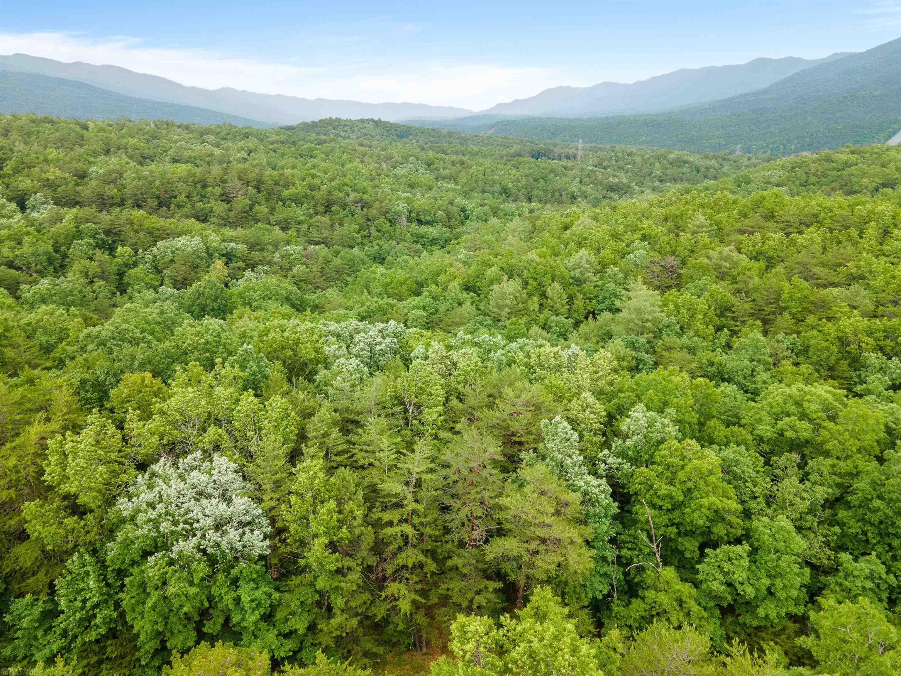 Ready to build your dream home? With over 2.7 acres of land look no further than this great opportunity in the highly desirable subdivision, The Ridges. Quiet and secluded location but minutes from I-81 & 460 to either Roanoke or Christiansburg & Blacksburg. Don't miss out on this great opportunity!!