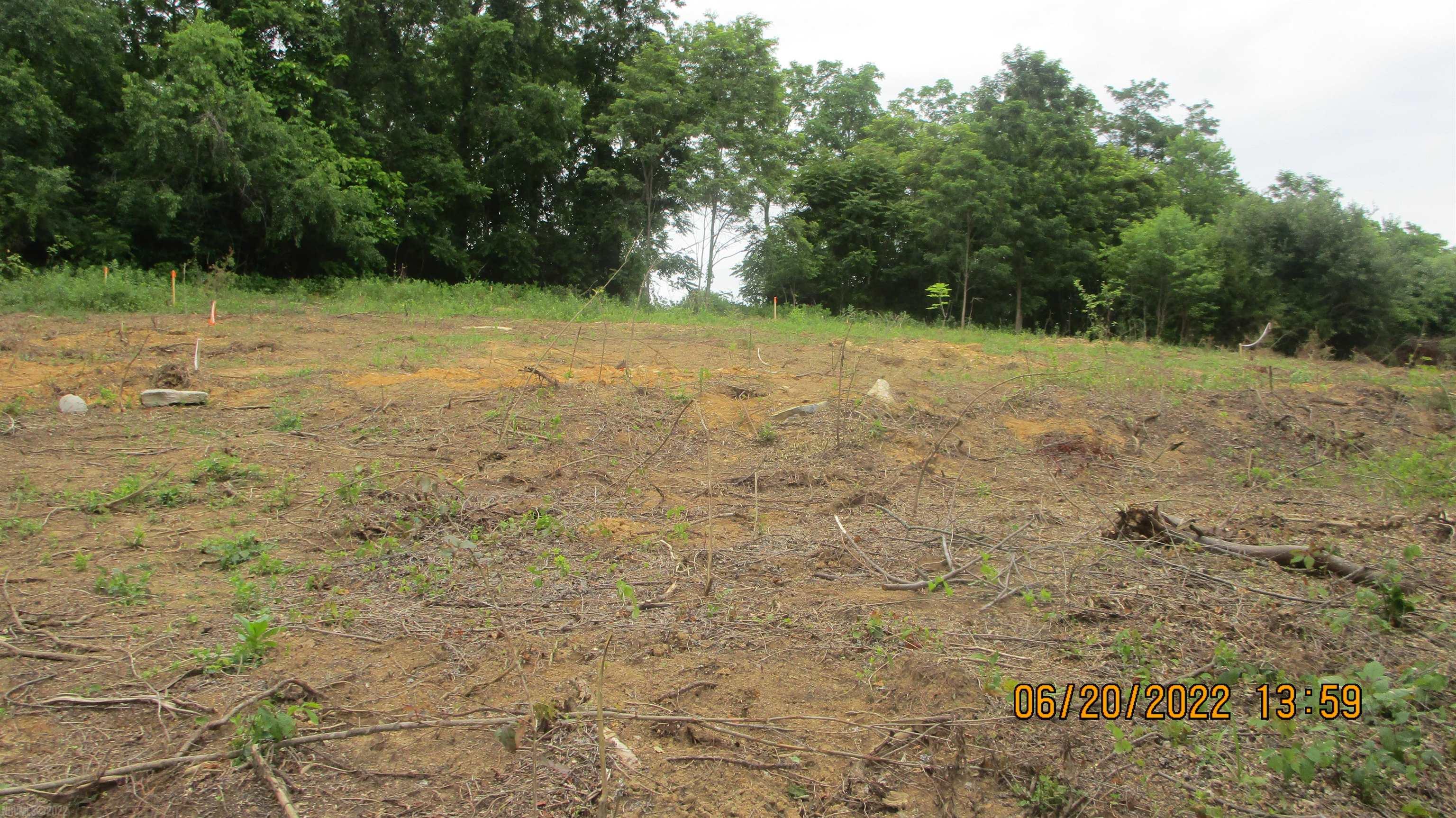 GREAT NEWBERN LOCATION. What a nice lot for building your new home or for your Double Wide. Nearly .70 partially cleared acres. Soil work has been completed very recently. Permited for 3 BR Home with no basement. The location for the well and septic installation is marked as well as the best house site. VDOT permit has been obtained and culvert installed for driveway. There is a deeded 30' Right of Way from Towes Ferry on to the property. DOUBLE WIDES WELCOME. This is a great lot that is not going to last long!!!