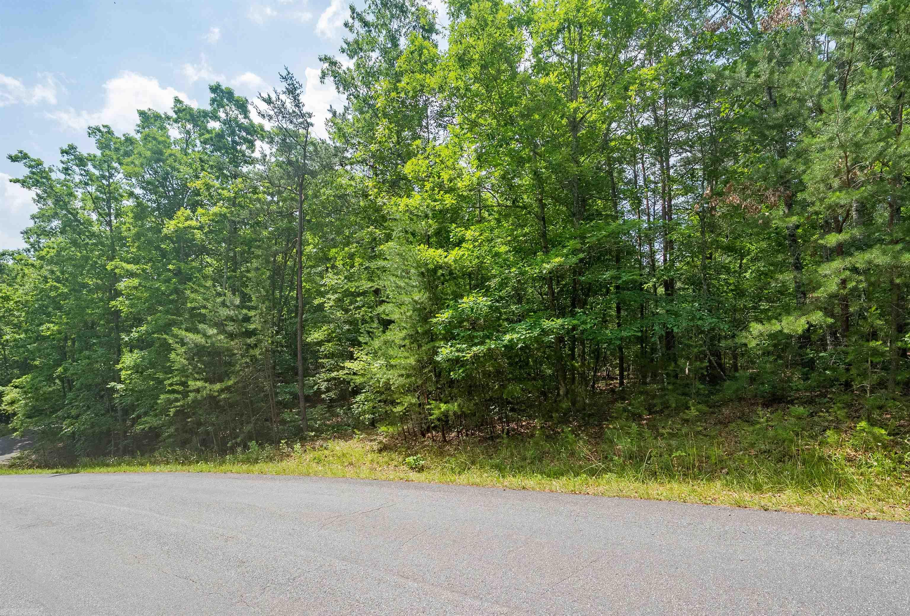 Welcome to 3050 New Ridge Rd Elliston! Located in the desirable Ridges subdivision -this 8.75 acres property offers you the opportunity to build your dream home.  3050 New Ridge Road has lovely views of the mountains, privacy and quick commute to Blacksburg or Roanoke. Property has had PERC test. No building restrictions. Don't let this gem pass you by! Build your dream home here! Location, Location, Location!!