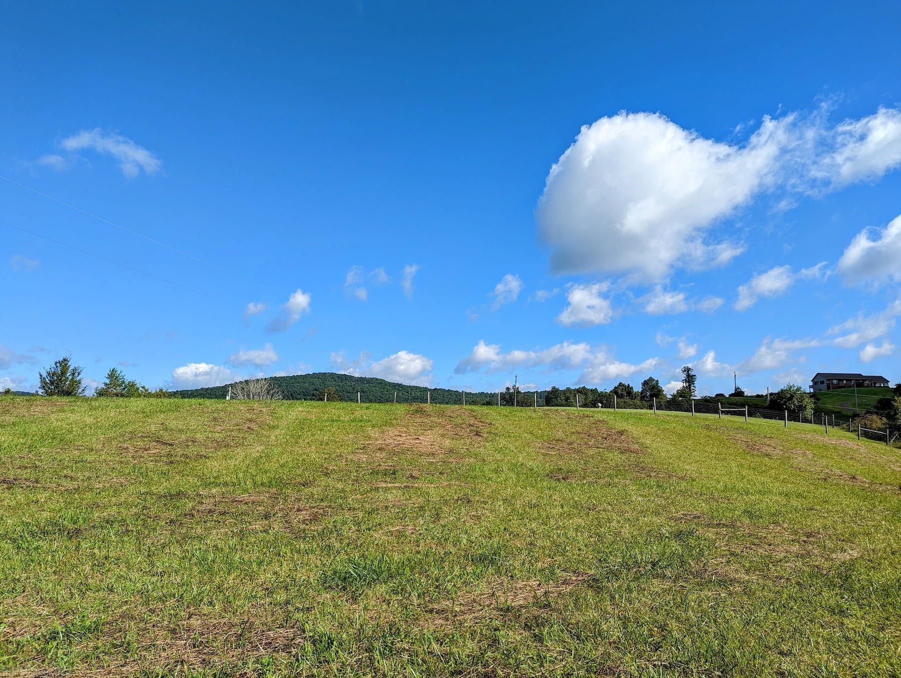 Rolling small acreage pasture in the quiet Buffalo Mtn area of Floyd VA.  Very convenient to Meadows of Dan VA and Floyd VA.  This property offers potential for your next homesite.  An adjacent cemetery is not on this parcel.
