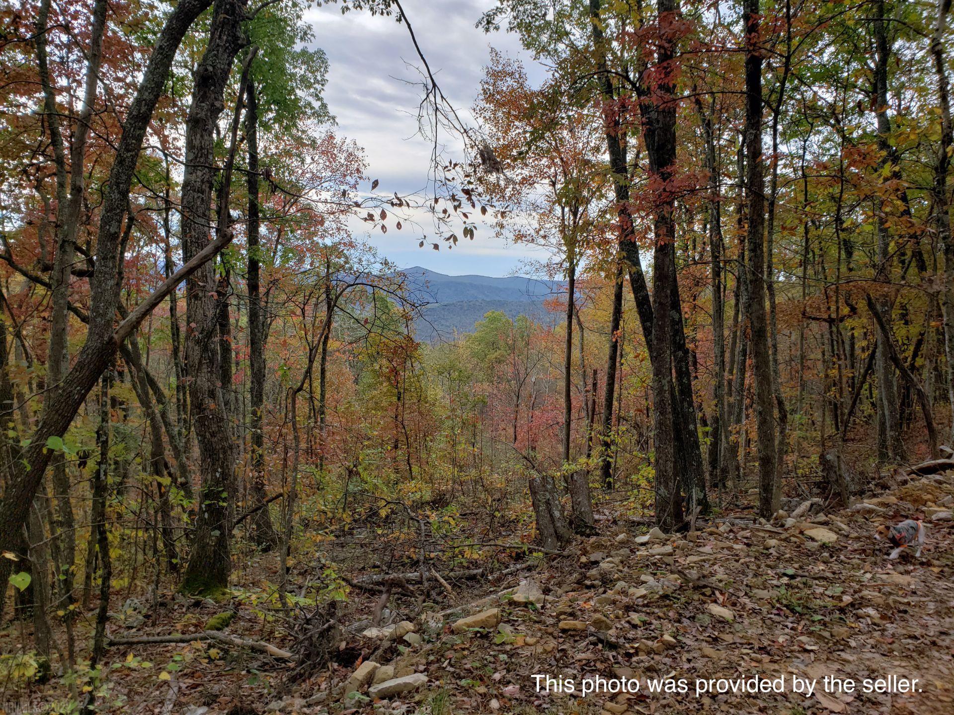 Check out this beautiful parcel of land located in the gated community of Cove Creek in Tazewell County! Consisting of approximately 5 acres of land, breath-taking views, and an abundance of nature and wildlife, this property could easily become the ideal mountain retreat that you've always dreamed of. If you're looking for options on where to construct your new home, the property lines adjoin Oneida Peak Road on the upper end, and Ridgetop Road on the lower end. Along Oneida Peak, you will find a partially cleared homesite that could be easily turned into a private getaway for those who are looking to escape from the hustle and bustle of the world. However, if you do not wish to be completely cut off from everyday amenities, this property is conveniently located approximately 30 minutes from the towns of Tazewell, VA and Bluefield, WV. Don't miss your chance to purchase the future destination of your mountain home! Schedule your showing today!