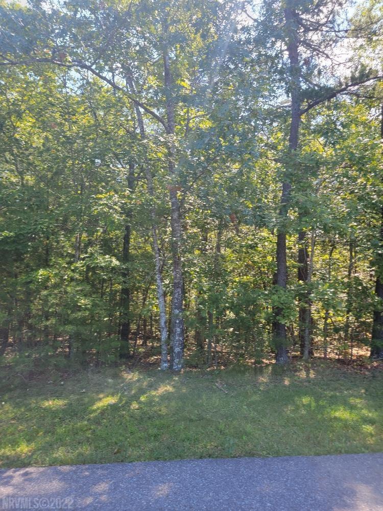 Worthy of your dream home, offering a peaceful retreat! This 5.168 acre lot is in an ideal location for a commute to Blacksburg or Roanoke.