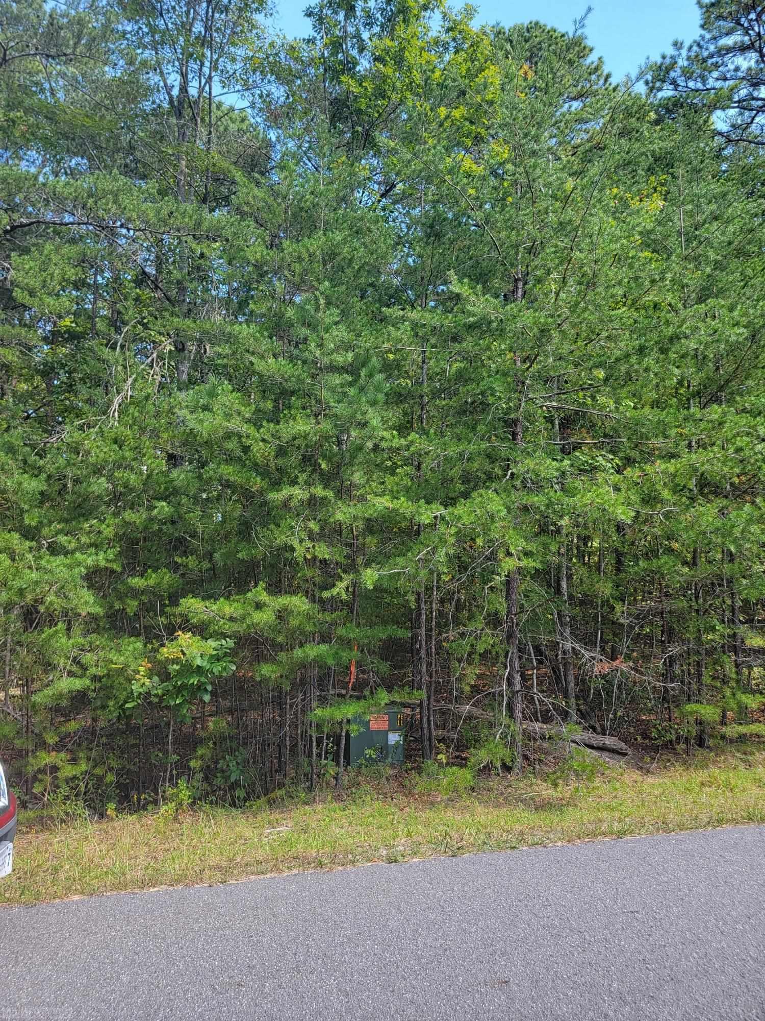 Worthy of your dream home, offering a peaceful retreat! This 3.759 acre lot is in an ideal location for a commute to Blacksburg or Roanoke.