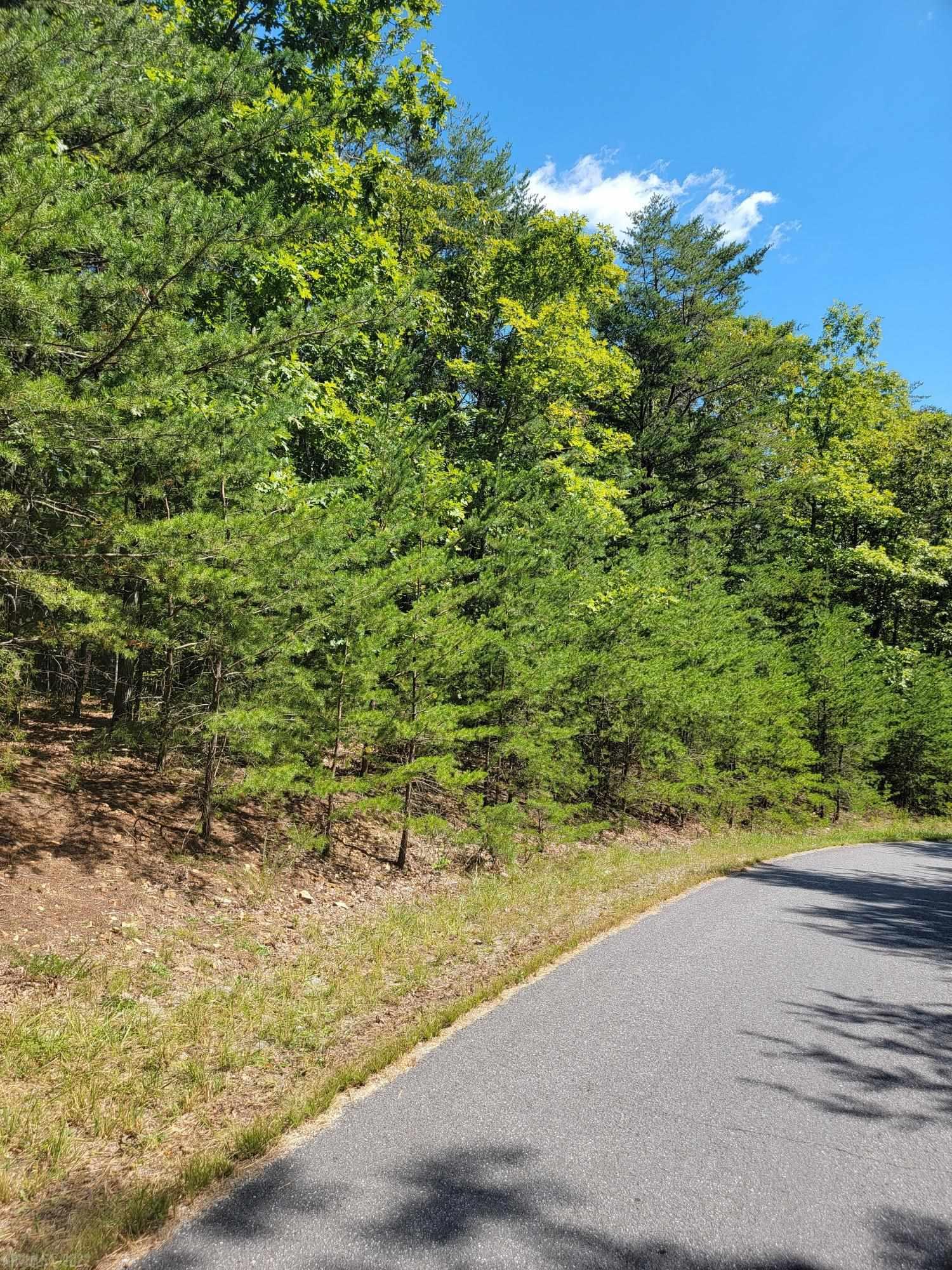 Worthy of your dream home, offering a peaceful retreat! This 4.3 acre lot is in an ideal location for a commute to Blacksburg or Roanoke.