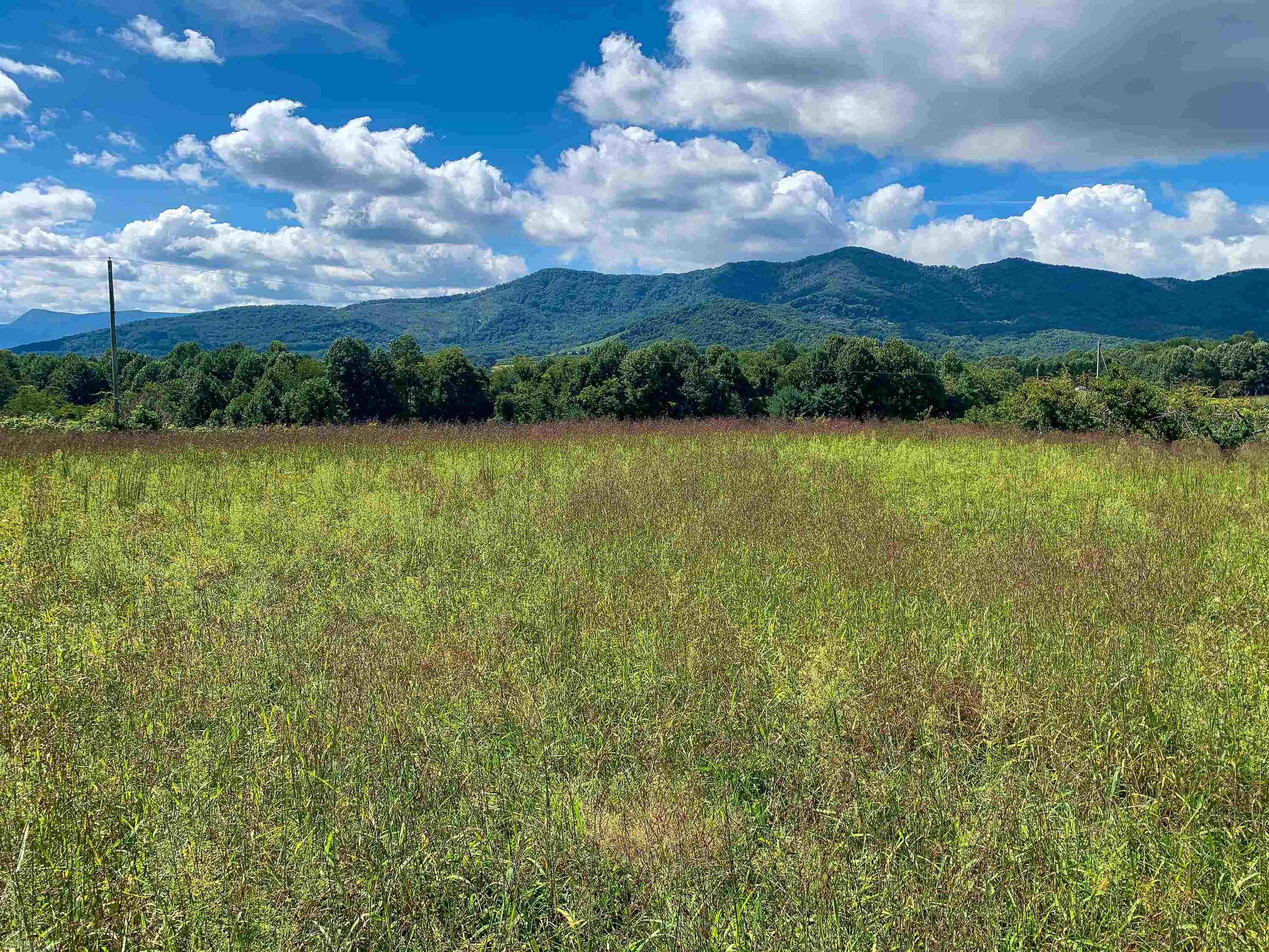 Excellent piece of land with gorgeous mountain views! Have a look at this very usable lot, a great place for your new home. A 0.69 acre tract, level and already cleared to make developing much easier. The property has a power pole and line that runs alongside the road. A few restrictions on the property include no singlewides or junk yards, but call for more details. Doublewides are allowed! Views of Fisher's peak and other blue ridge mountains are in your direct view. Apple Orchards and fields of sunflowers are your neighbors. The property is in a great location. Less than 20 minutes to Mt Airy, 12 minutes to Fancy Gap, and within close proximity to many other towns and attractions. Don't miss out on this great property for your future home!