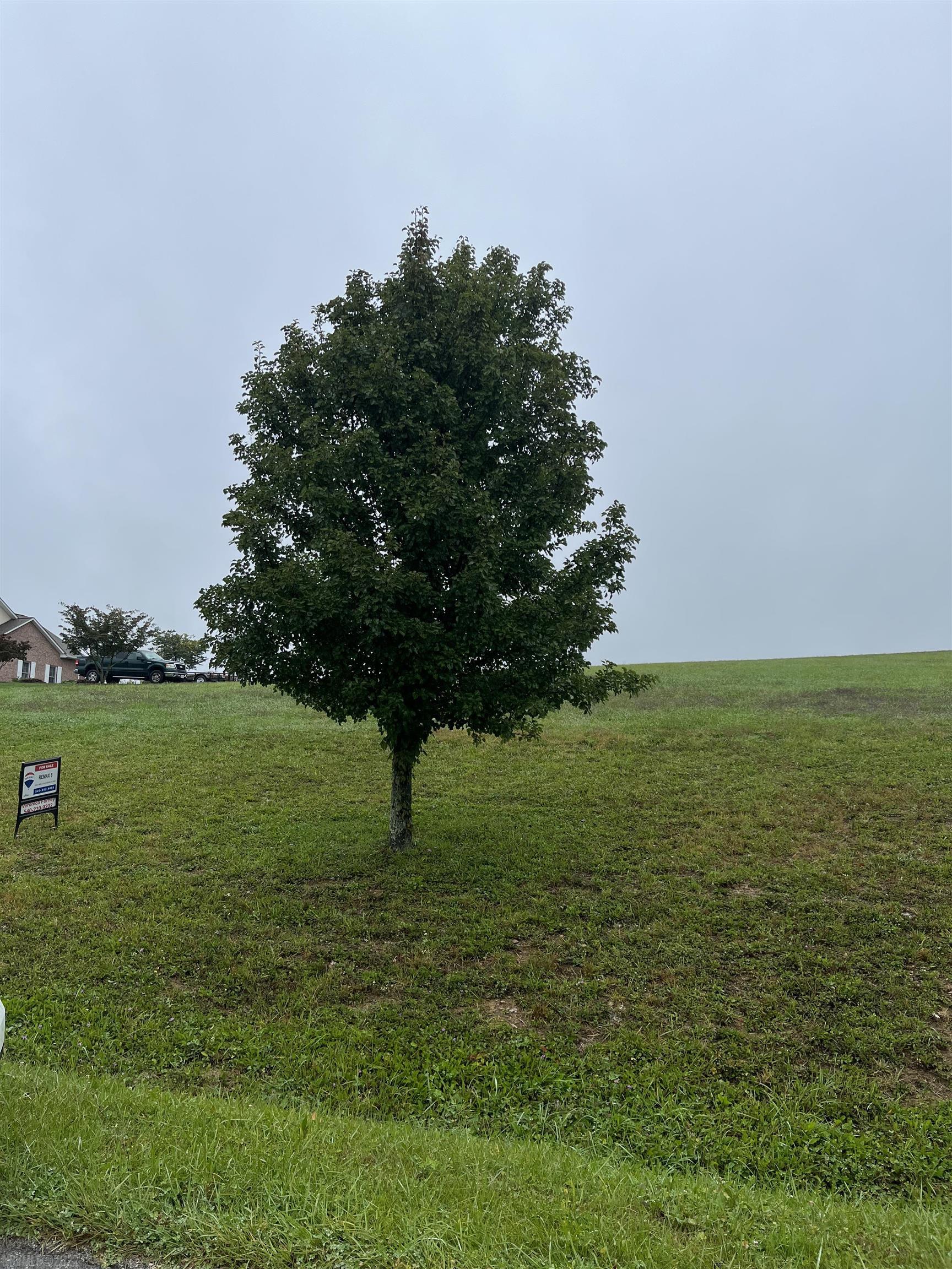 This is a beautiful building site for your dream home with a view of the larger pond and green space.  Lovely custom homes fill this quiet pet friendly neighborhood.  Ten minutes to the Carilion hospital and an easy drive to either Radford University or Virginia Tech University.