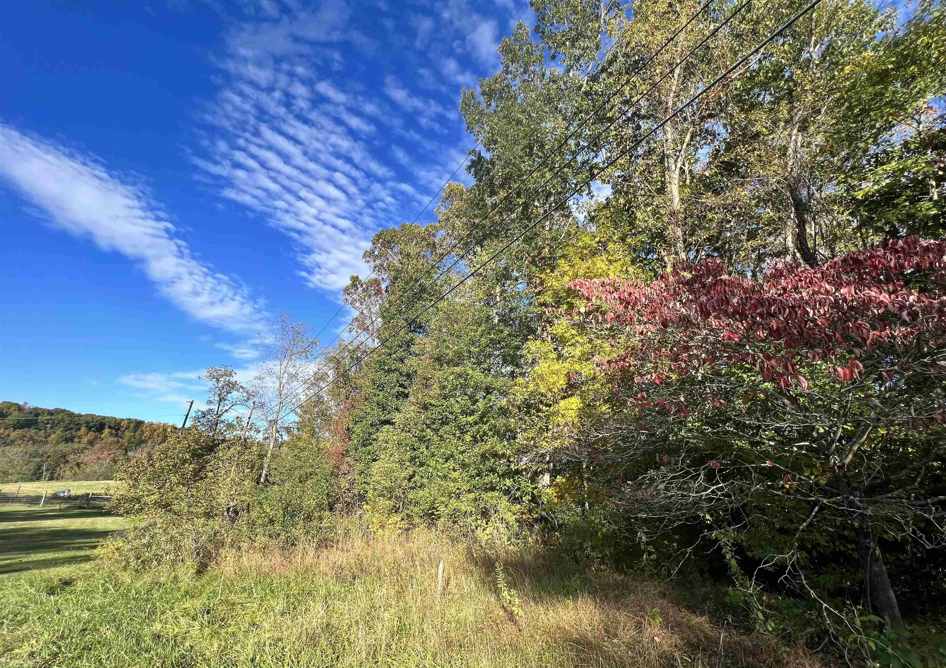 Looking for a convenient location to build, but want privacy and mountain views? This lot fits both! With just over an acre of space, you have unlimited options to build your dream home. This mostly wooded lot offers privacy, shade and great curb appeal. Contact Krista today to see this property.