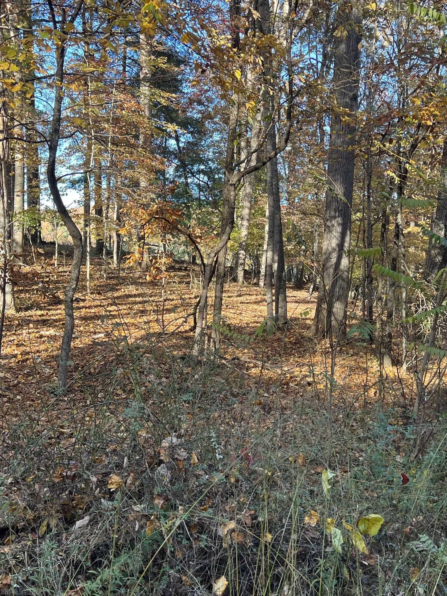 Looking for that piece of land that is tucked away but not too far away? lays well, and is easy to get to? Here it is, this five and a half acres nestled in the valley of the Blue Ridge Mountains has several home sites perfect for building that cabin in the woods or contempory style home you've been dreaming of. This land has road frontage on Drifty Ln, just a few miles from the town of Wytheville. This rolling wooded land is not steep and would be easy to set up permanent residence  Enjoy crisp mornings, refreshing your mind while living in a magical seclusion. If you're not looking to build but you're an outdoor enthusiasts, its always nice to own a piece of nature to enjoy the many outdoor activities. Less than 15 minutes to Wytheville, less than 30 minutes to Elk Creek, Independence and Jefferson National Forest, check it out!