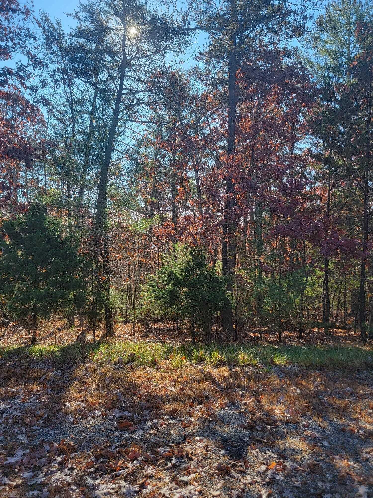 Worthy of your dream home, offering a peaceful retreat! This 5.481 acre lot is in an ideal location for a commute to Blacksburg or Roanoke.
