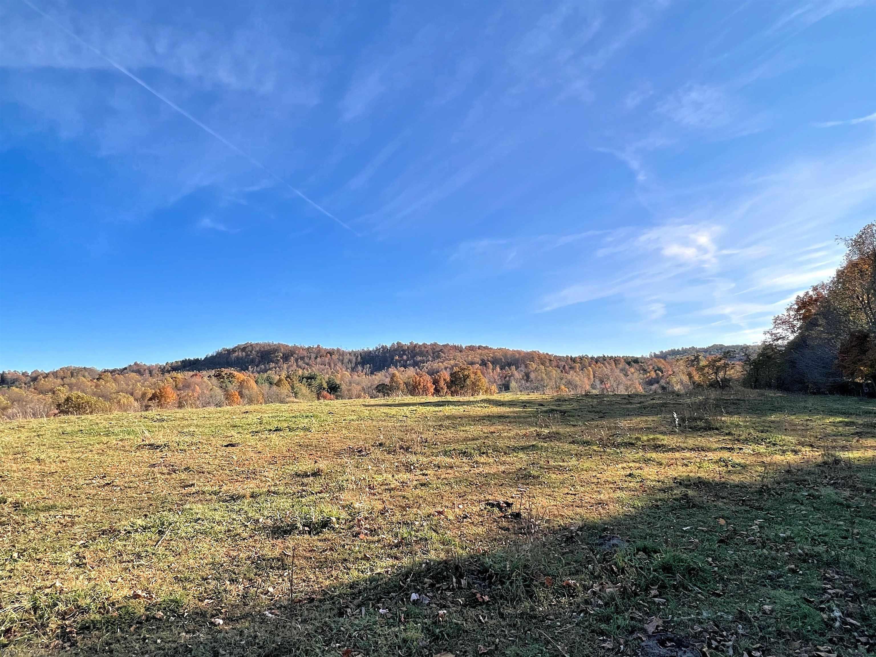 This a great opportunity to purchase a 24+ ac property with great long range views that is suitable for cattle/horses with a creek, pasture and some fencing. Newly perked for a 3 Bedroom Septic System and a new survey has been completed.