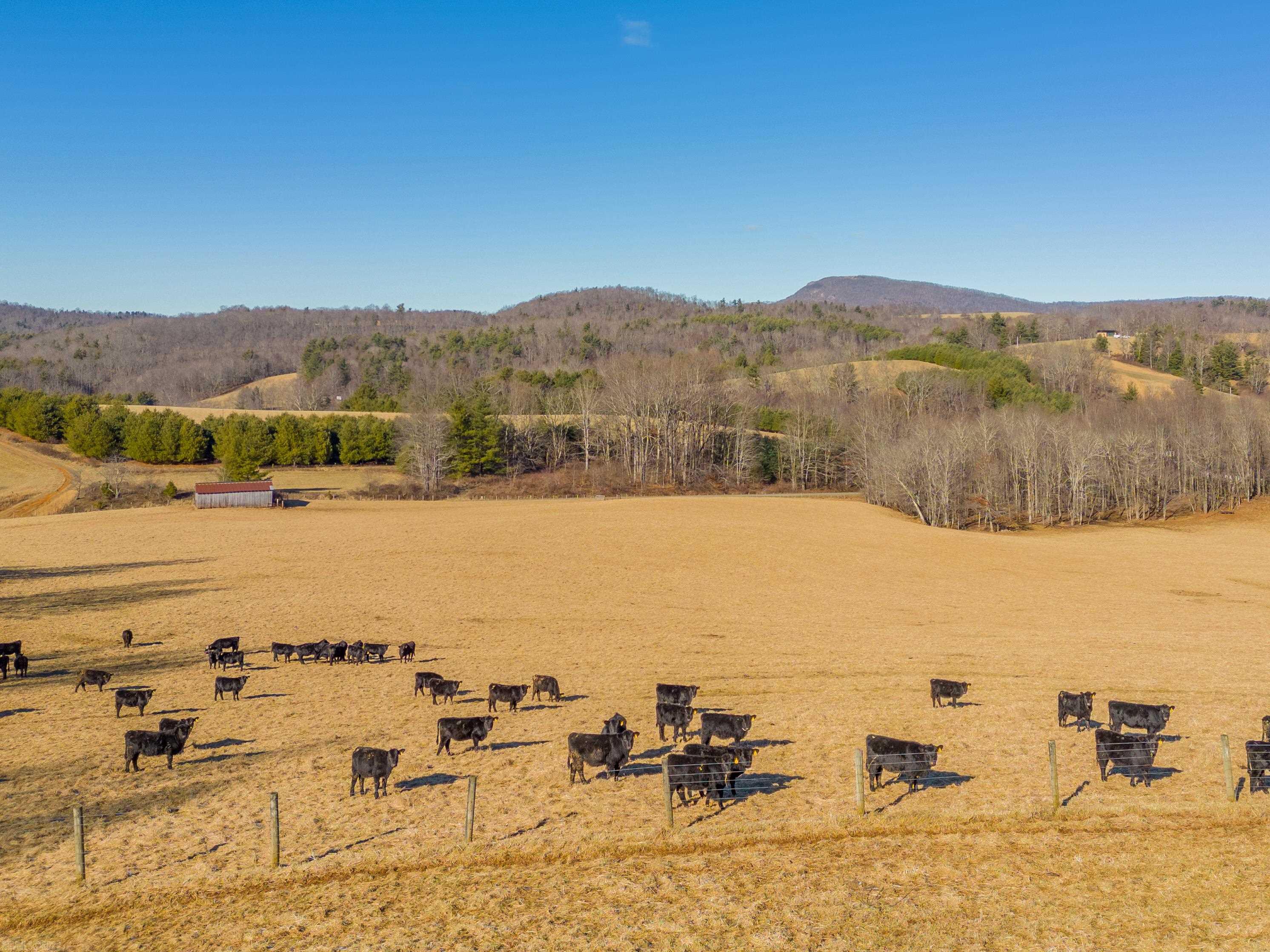 Here is beautiful mountain farmland with gentle sloping pasture, streams woods and a long range view of Buffalo Mountain. The property is fenced and cross fenced for cattle.  The barn and pens are in place for managing your livestock.  There is significant paved road frontage for easy access.  The property has been perked for a 4 bedroom home.