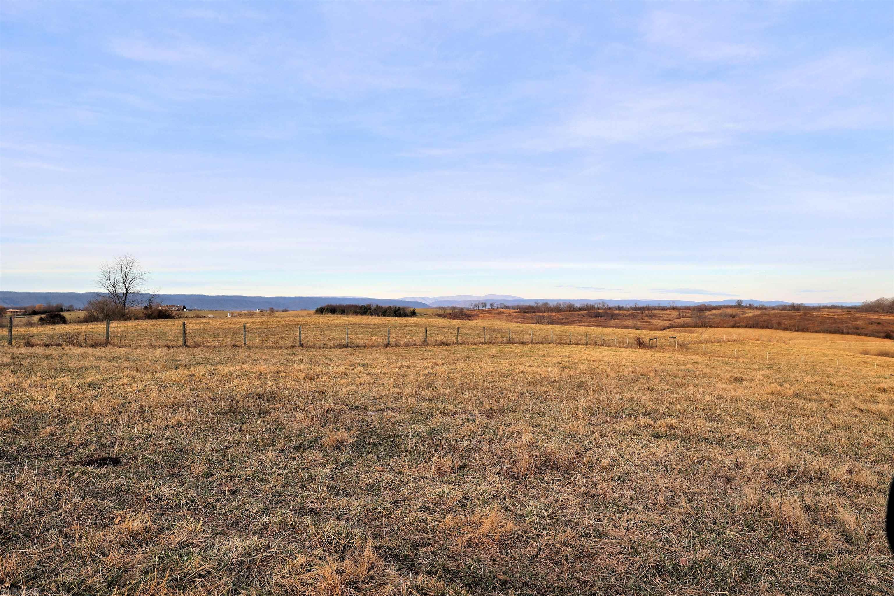 Great property with over 93+ acres of land with development potential with frontage on Lee Highway/Rt. 11.   Well laying open land is suitable for development or grazing for cattle/horses with fencing in place.  Call for your private showing today!