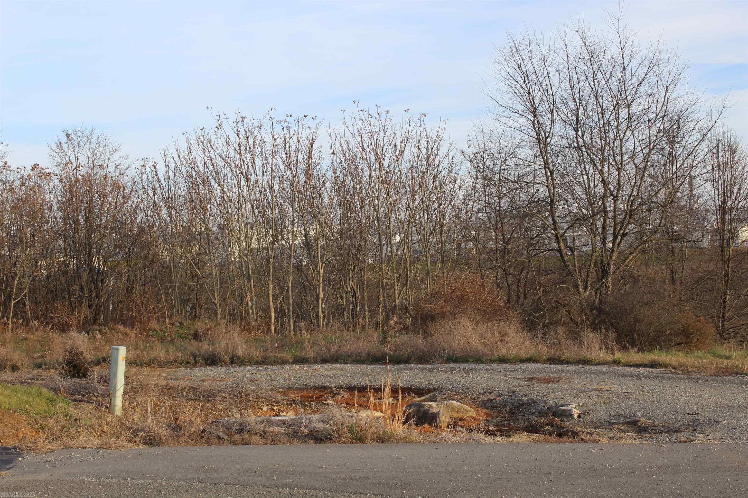 Ideal commercial land in Pulaski County Industrial Park near I-81, Volvo, FedeX, Beamer World, LH Corporation, and Phoenix Packaging. Ready to build your Industrial business property on!