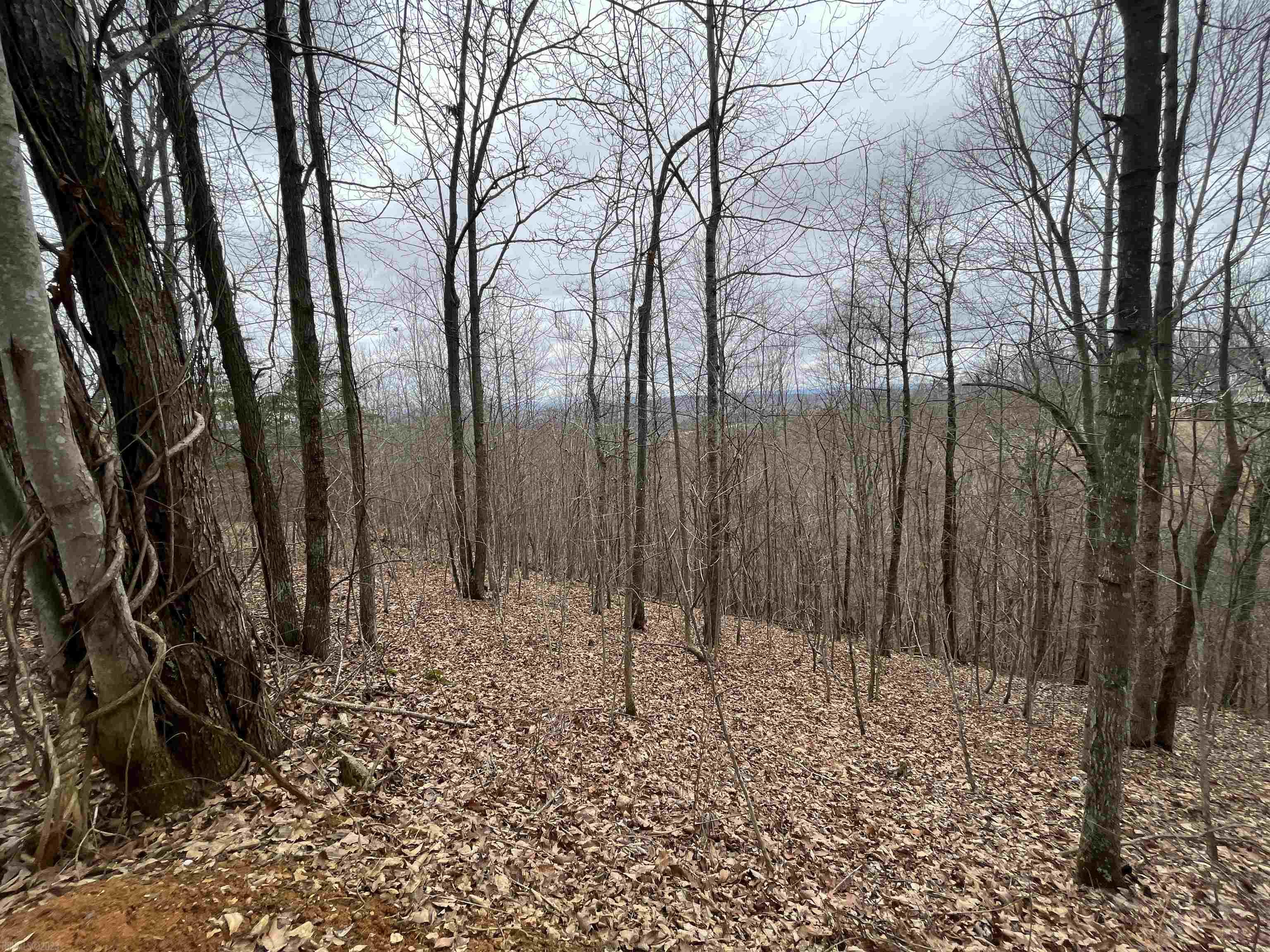 This stunning 24-acre piece of raw land is a true gem, offering breathtaking views from the top! The rolling hills and natural beauty provide a peaceful and serene environment, perfect for building your dream home! There are multiple sections of this land that offer many opportunities at such a low price. In addition to its picturesque scenery, this property is conveniently located close to the highly sought-after Auburn schools. Whether you're looking to build a single family home or have space for animals, this land is a must-see. Don't miss out on this incredible opportunity to own a piece of land that offers both beauty and functionality. Call us for a private showing today!