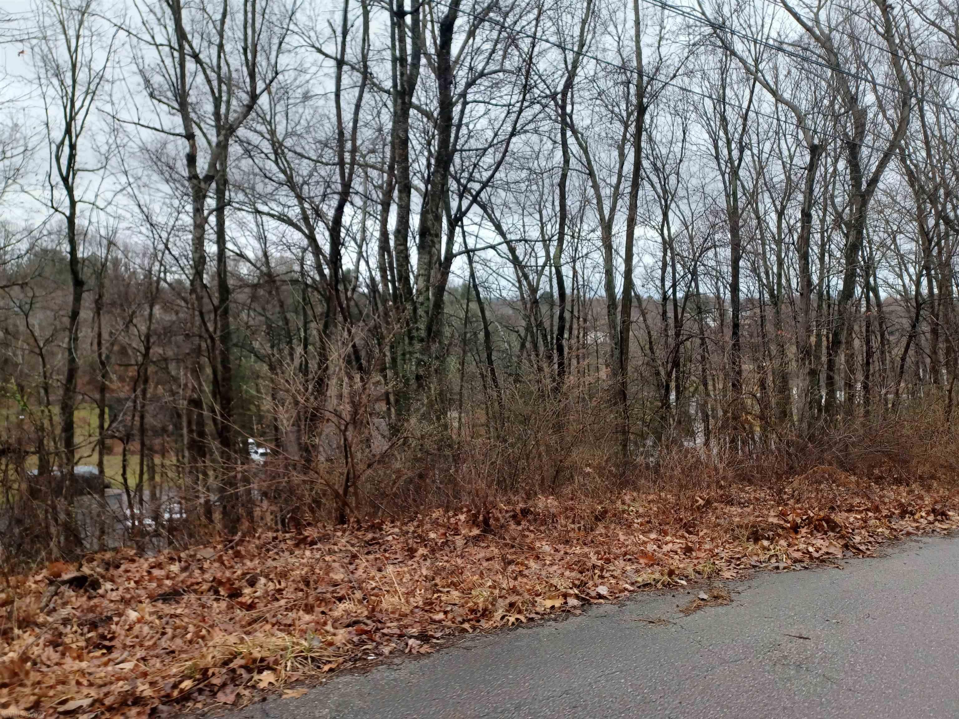 Can't find a home to purchase? Consider building! This wooded lot is ready for your new home!  Public water/sewer and natural gas available. Very convenient location with easy access to I-81 and a quick drive to downtown, shopping, restaurants and Virginia Tech.