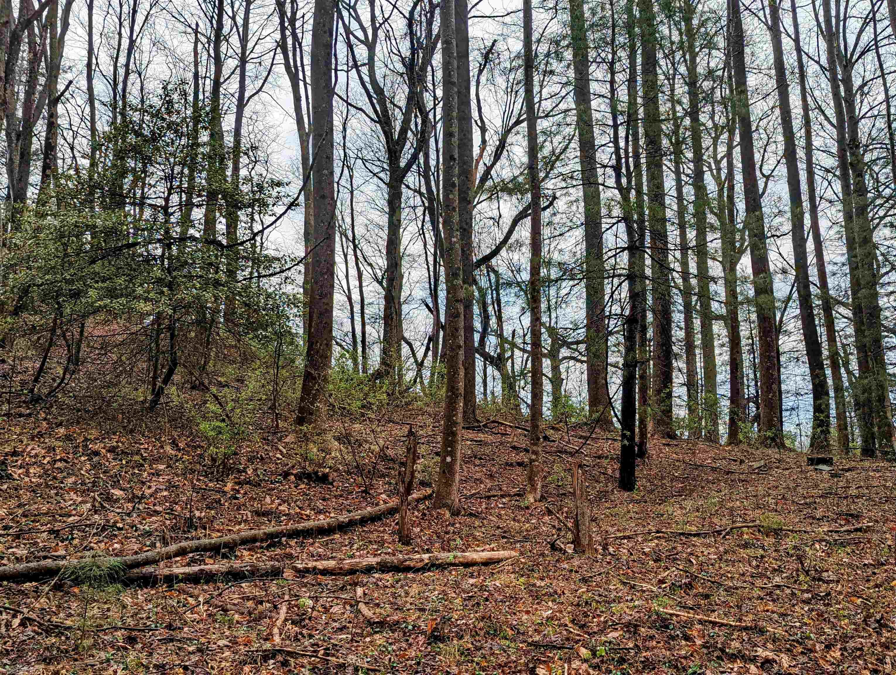 Wooded building lot in gated community. Located in the Cascade community just off the Blue Ridge Parkway.  HOA includes access to tennis courts and swimming pool.   Community is well maintained and offers residents full and part time residences.  Convenient to Interstate 77, makes for a great weekend location.