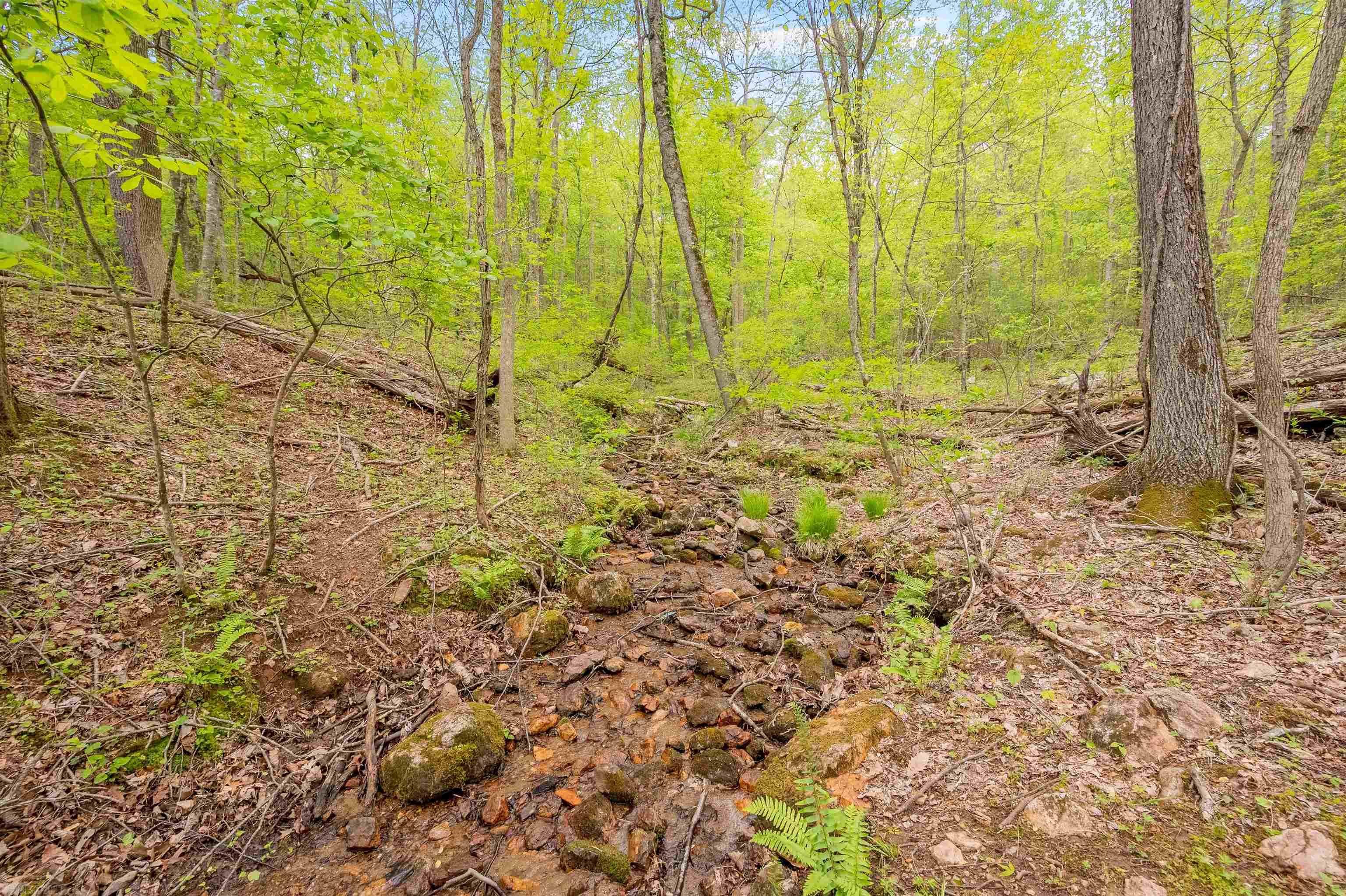 Wooded tract with almost 12 acres to build your Floyd County dream home on.  Small creek on the property and great road bed leading up through the center of the property.  Views of the surrounding farms with a little clearing.  Land lays very well and multiple options for build sites.