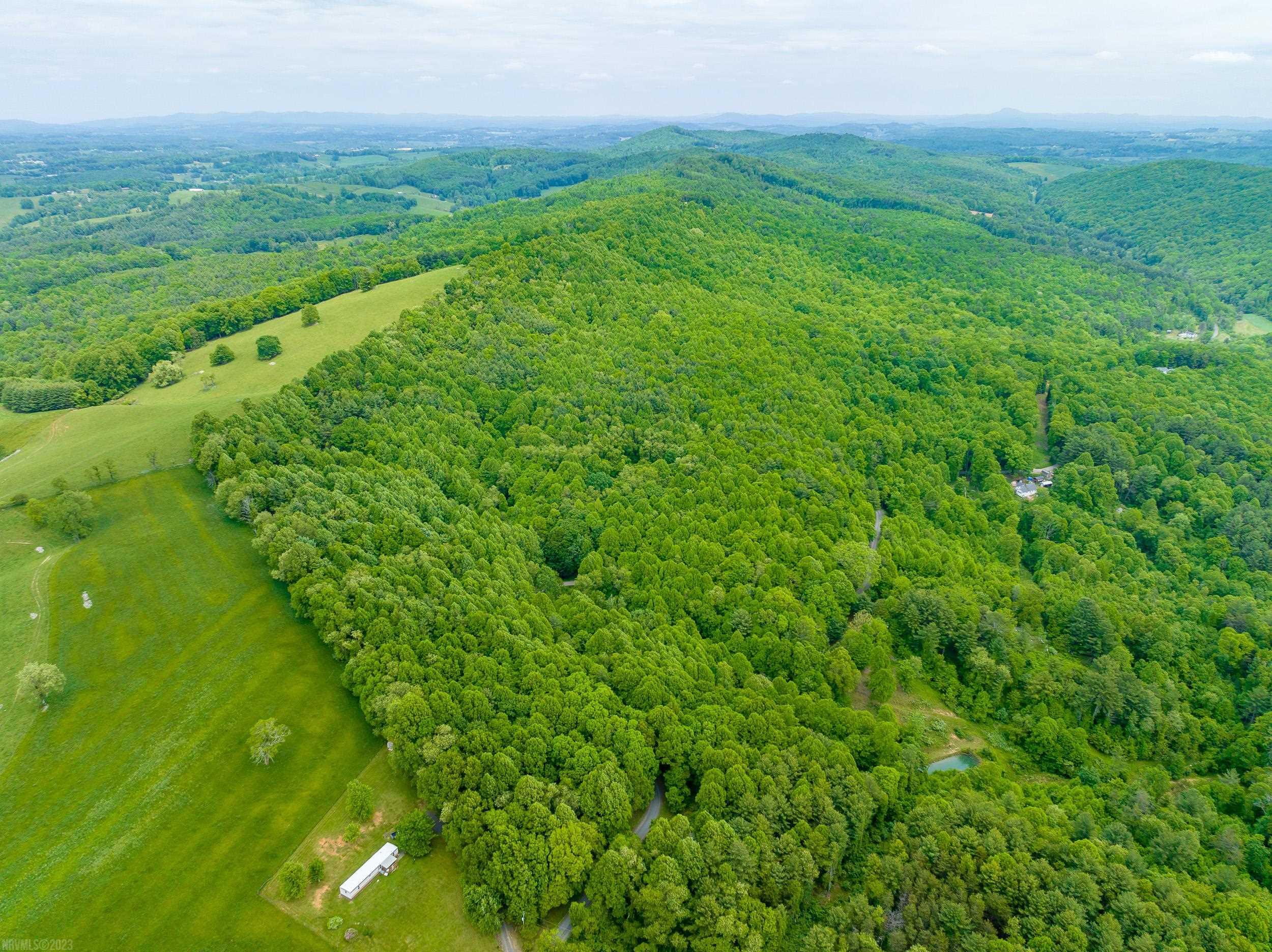 This 34.52 acre track of land was recently surveyed off of 59.5 acre track. All 59.5 acres are available, see MLS #418158. Property is on both sides of the road with the majority which on the left side and lays very nice. There is a spring head and a small branch. You can probably build a nice pond. Property has southern exposure and a lot of timber that will most likely be marketable within a few years. The front corner of the property joins the Crooked Creek Wildlife Management Area which is 1796 acres of forest and open land offering varied hunting opportunities for deer, turkey, squirrel, etc. It has 2.8 miles of native trout water and 3.5 miles of stocked rainbow and brown trout. All of this available within a few steps of a wonderful homestead or vacation/recreational property. Enjoy everything nature and the area have to offer. Just minutes from I-77, Blue Ridge Parkway, New River & Trail, wineries and everything the VA Blue Ridge Mountains have to offer. Close to Galax