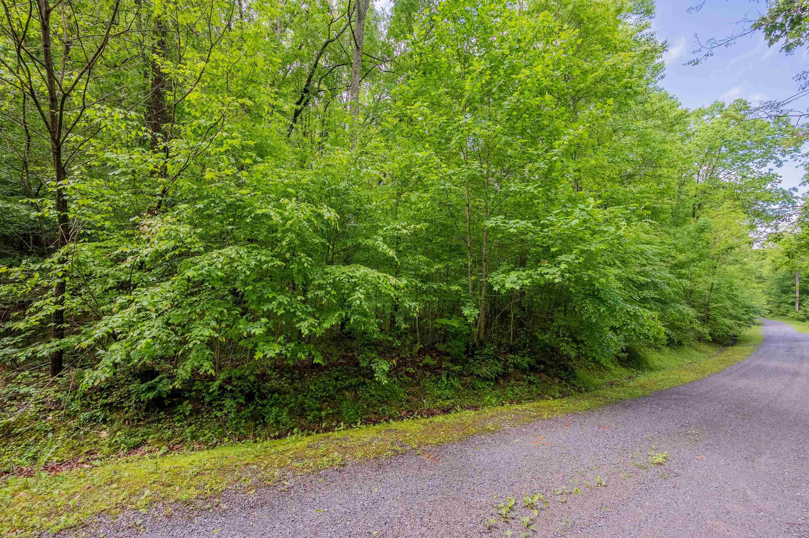 Check out this beautiful parcel of land located in the gated community of Cove Creek in Tazewell County! Nestled in the mountains of Virginia, this tract consists of 7.6 acres, an abundance of wildlife, and endless potential as the future site of your mountain getaway! Whether you're interested in building your forever home or simply a second home to escape the hustle and bustle of everyday life, this property is a blank canvas waiting for someone with a vision to turn it into a something beautiful. However, if you do not wish to be completely cut off from everyday amenities, it is conveniently located approximately 30 minutes from the towns of Tazewell, VA, Bluefield, WV and is a short distance from the famous "Back of the Dragon!" Don't miss your chance at purchasing this rare gem. Schedule your showing today!