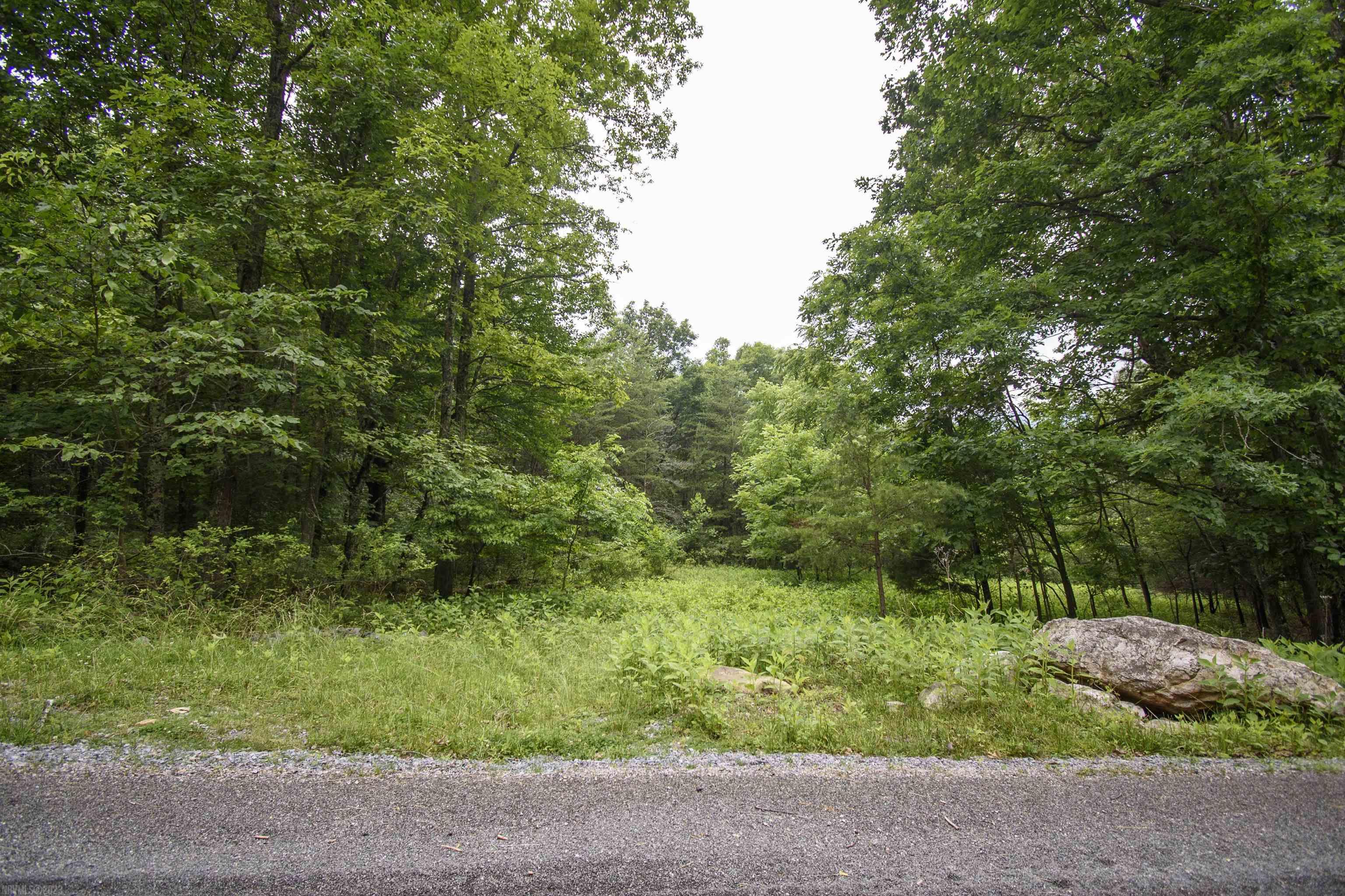 Come stay in the mountains of the highly sought after New River Valley.  No shortage of hiking trails, biking, hunting, kayaking.  Whether its a home you're after or a vacation get away, this land will make your dreams come true!