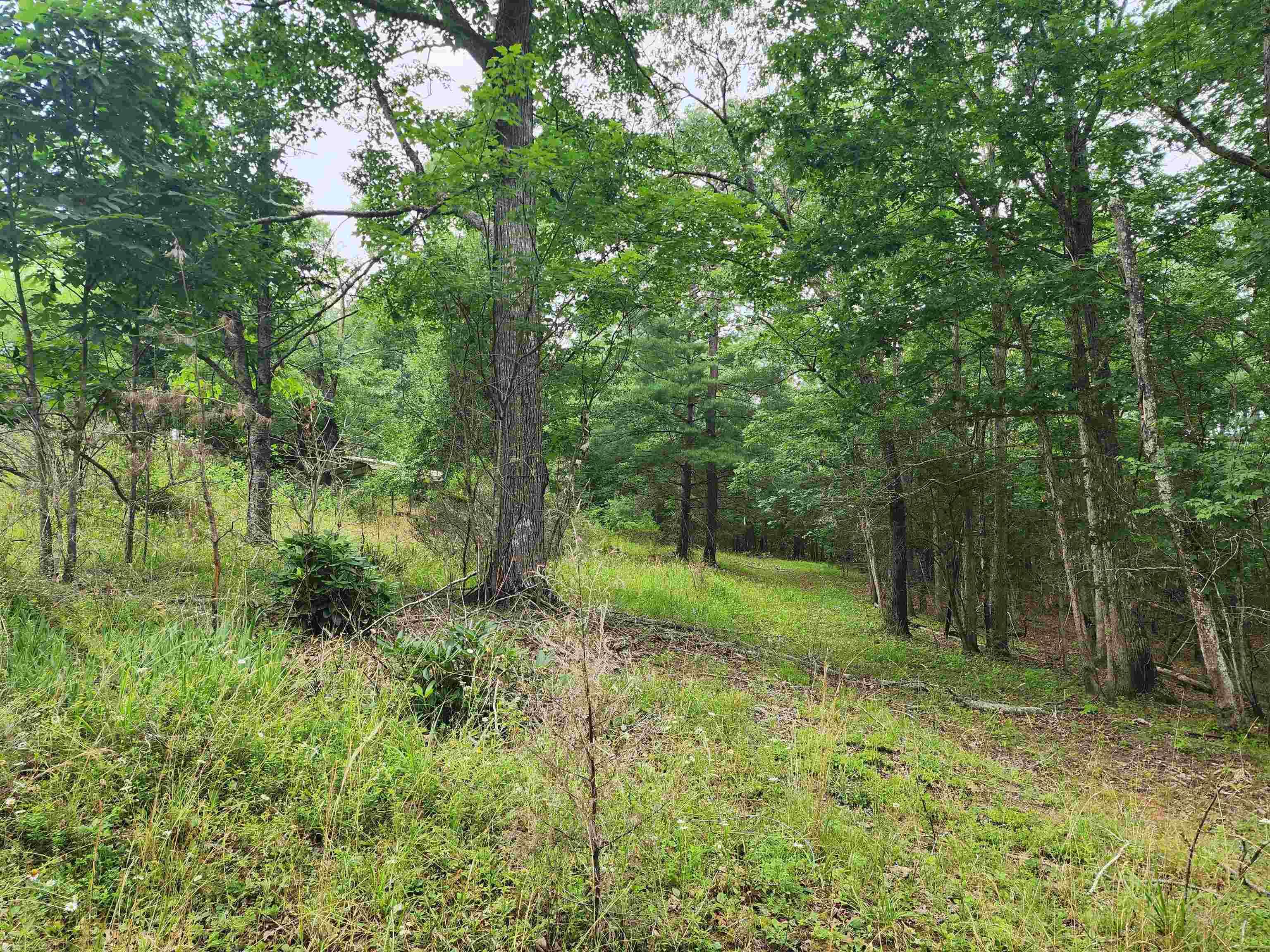 It is what many are looking for! Totally private 5.4 acres with well and septic. Wooded, secluded, with great access. The owners moved to Florida and is not able to keep up 2 properties.