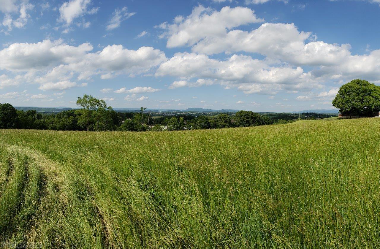 Come build your dream home on this single family lot with breathtaking views. A quiet, spacious 3.5 acres are situated very close major amenities in the New River Valley. Ten minutes to Radford University, 15 minutes to Virginia Tech. Twenty minutes to Claytor Lake State Park. 2016 soil report for 4 bedroom gravity septic.