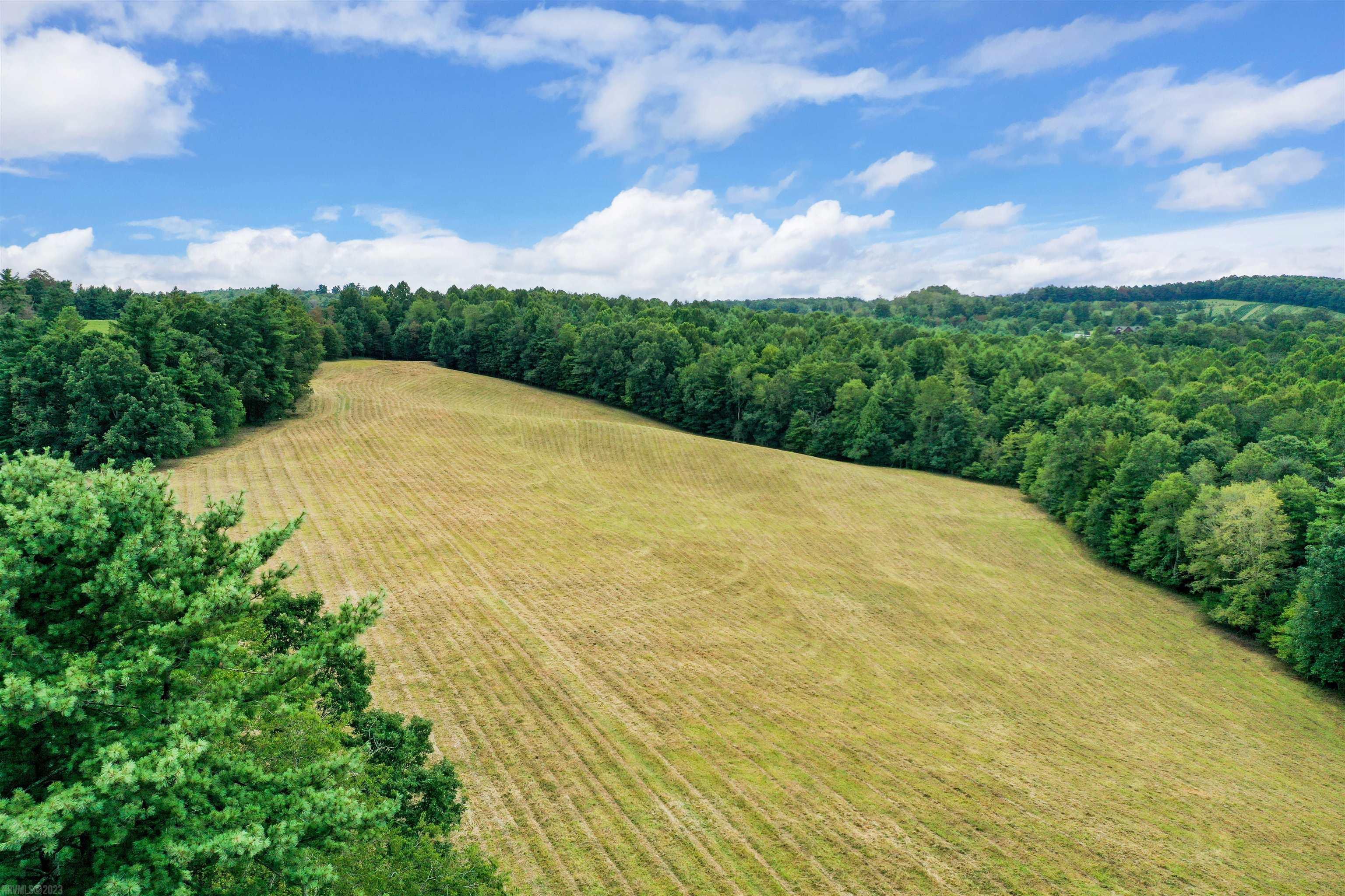 The "Wade Farm" consists of 2 tracts, 22 ac and 44 ac, which could be bought either individually or together. Located in Floyd County, it would make a fantastic small farm or recreation property, with approx. 14 ac cleared and 52 ac in hardwoods, plus multiple springs and branches with over 4,100' of stream frontage. The property could also be perfect for horses or cattle, or for a large garden or orchard. This is a beautiful setting, out in the country, but on a paved, state maintained road (and not too far from the main road), and easy to get to multiple towns. Build a house and take advantage of plenty of wooded acreage for enjoying wildlife. Fiber internet up to a gig speed available!