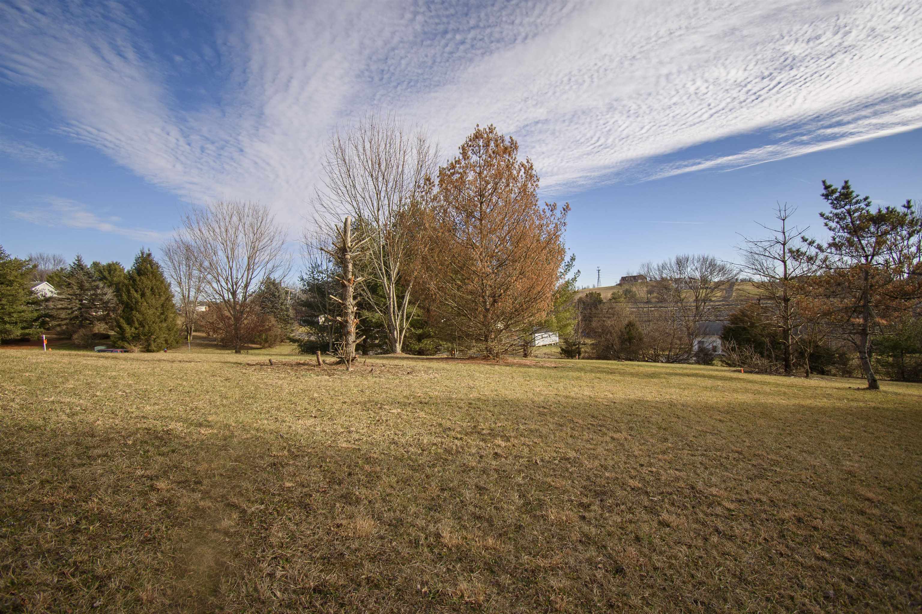 Discover the potential of this exceptional 1.1+ acre piece of land in the heart of Montgomery County.  A great location just outside the Christiansburg Town limits, minutes from I-81, Downtown Christiansburg, Radford, Carillon Hospital, Radford University, Blacksburg and Virginia Tech.  Access to public water, a completed 4 bedroom perk test, shared paved driveway entrance already in place with neighbor and minimal deed restrictions provide a great opportunity to build your dream home.  Don't miss out, call for more information and to schedule a showing today!