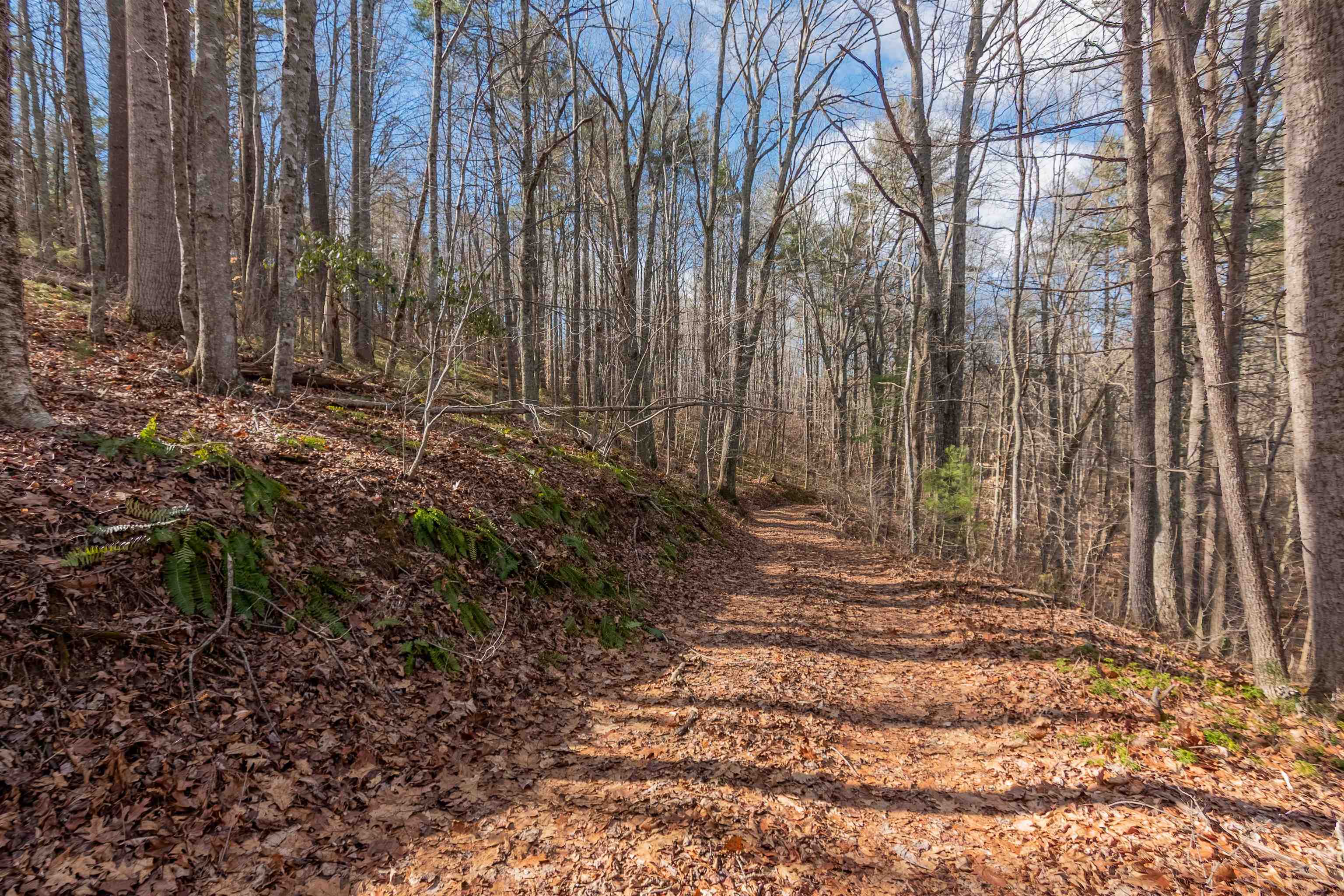 Beautiful 5+\- acre  wooded parcel in a great location. Secluded but not too far from main road. Power, well and 1 bedroom septic in place. Lot offers a small stream and a bold spring. Great start for building a home or use for recreational purpose. Additional 7+\- acre available