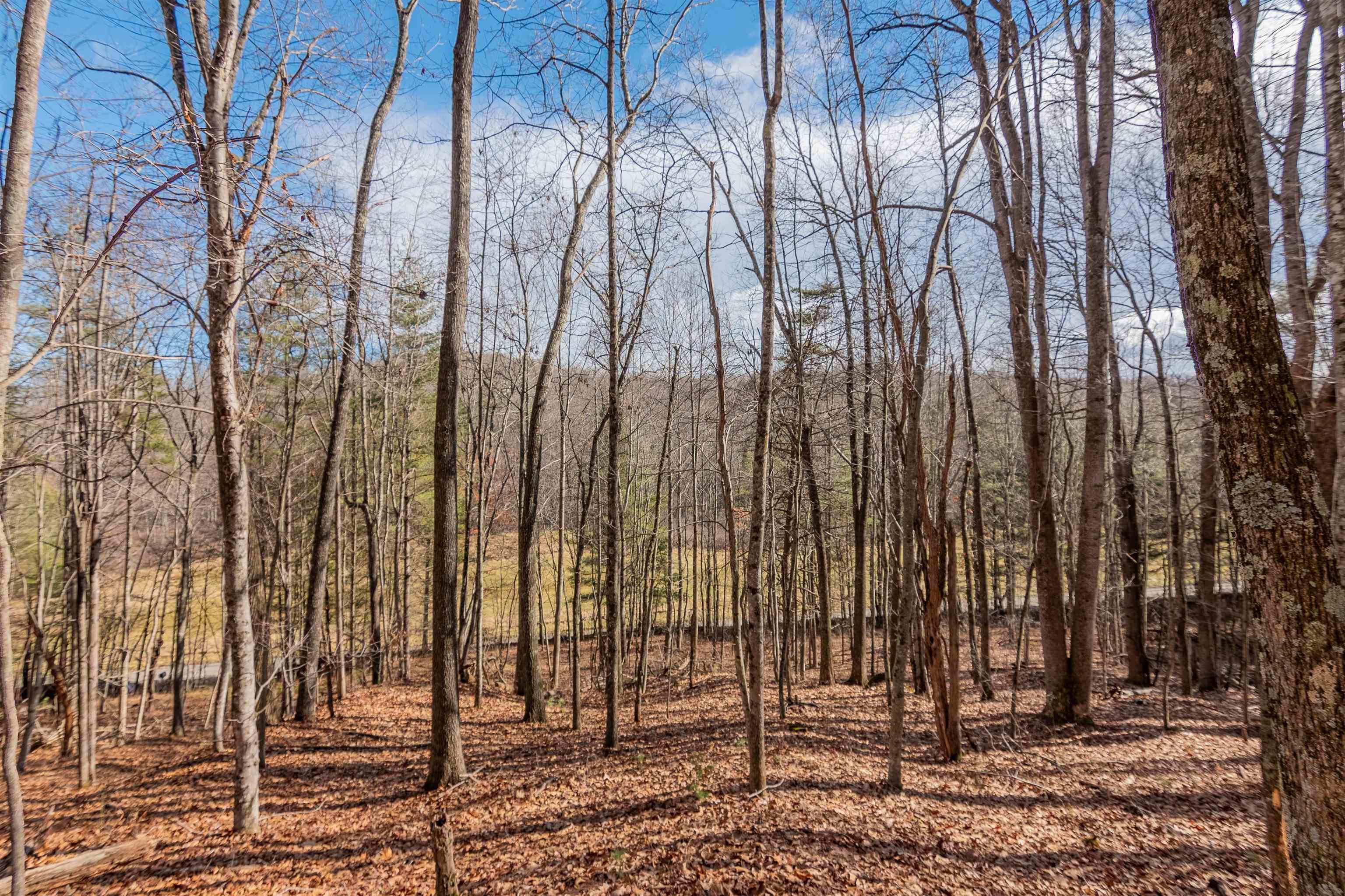 7 +\- wood acres in beautiful Floyd County.  Plenty of nice popular trees. Nice quiet area to build your dream home. Additional 5 acre adjoining parcel available with power well and septic.