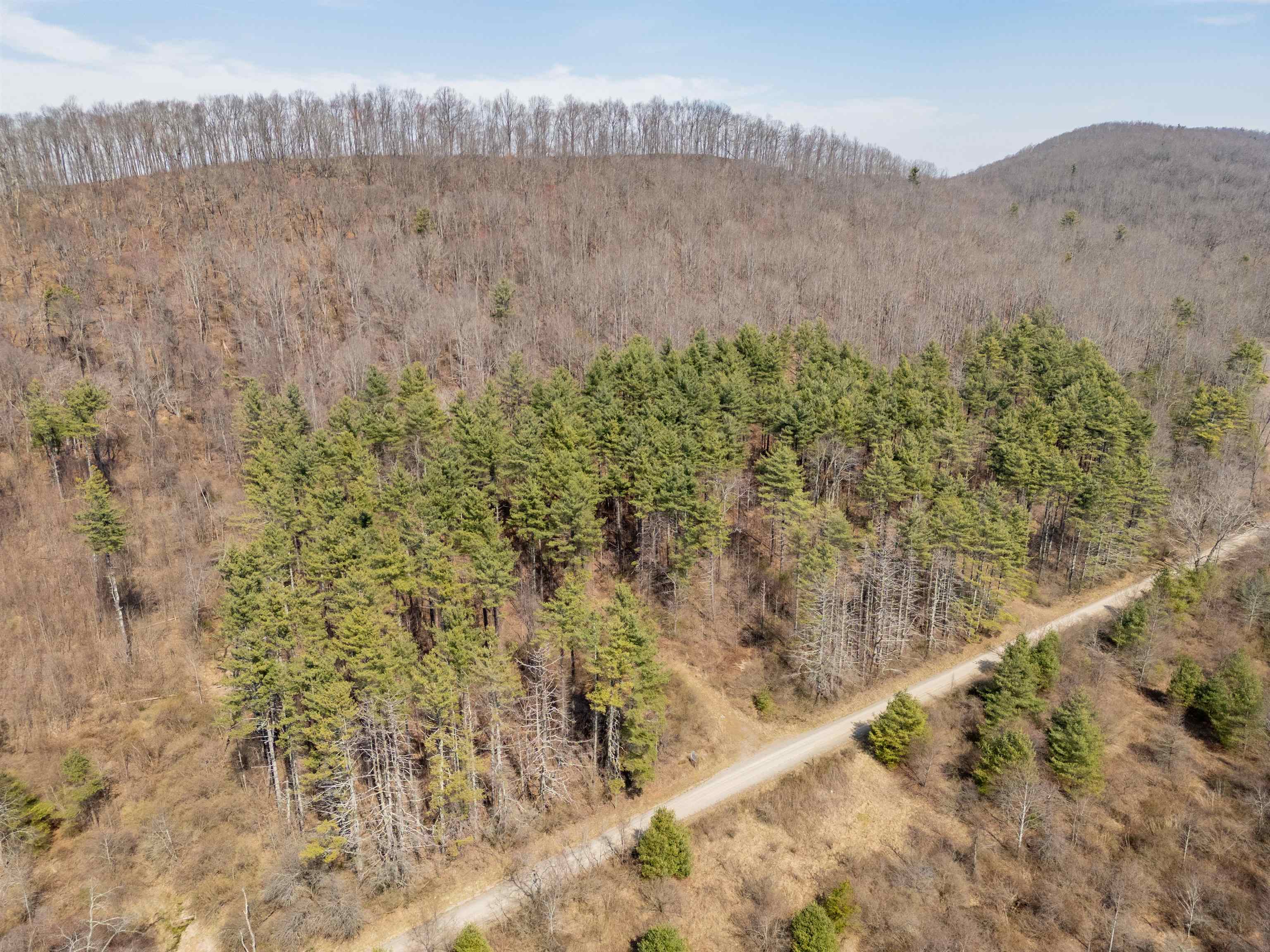 This is truly a once in a lifetime opportunity to develop a property along the Blue Ridge Parkway with no scenic easement.  With over 27 acres to develop and mountain top vistas, this property has a lot to offer.  Not looking to develop?  Say no more, build your Blue Ridge Parkway/Mountain home on this amazing 27 acres.  Walk off your front porch and within seconds you'll be on the BRP with your bike or motorcycle.
